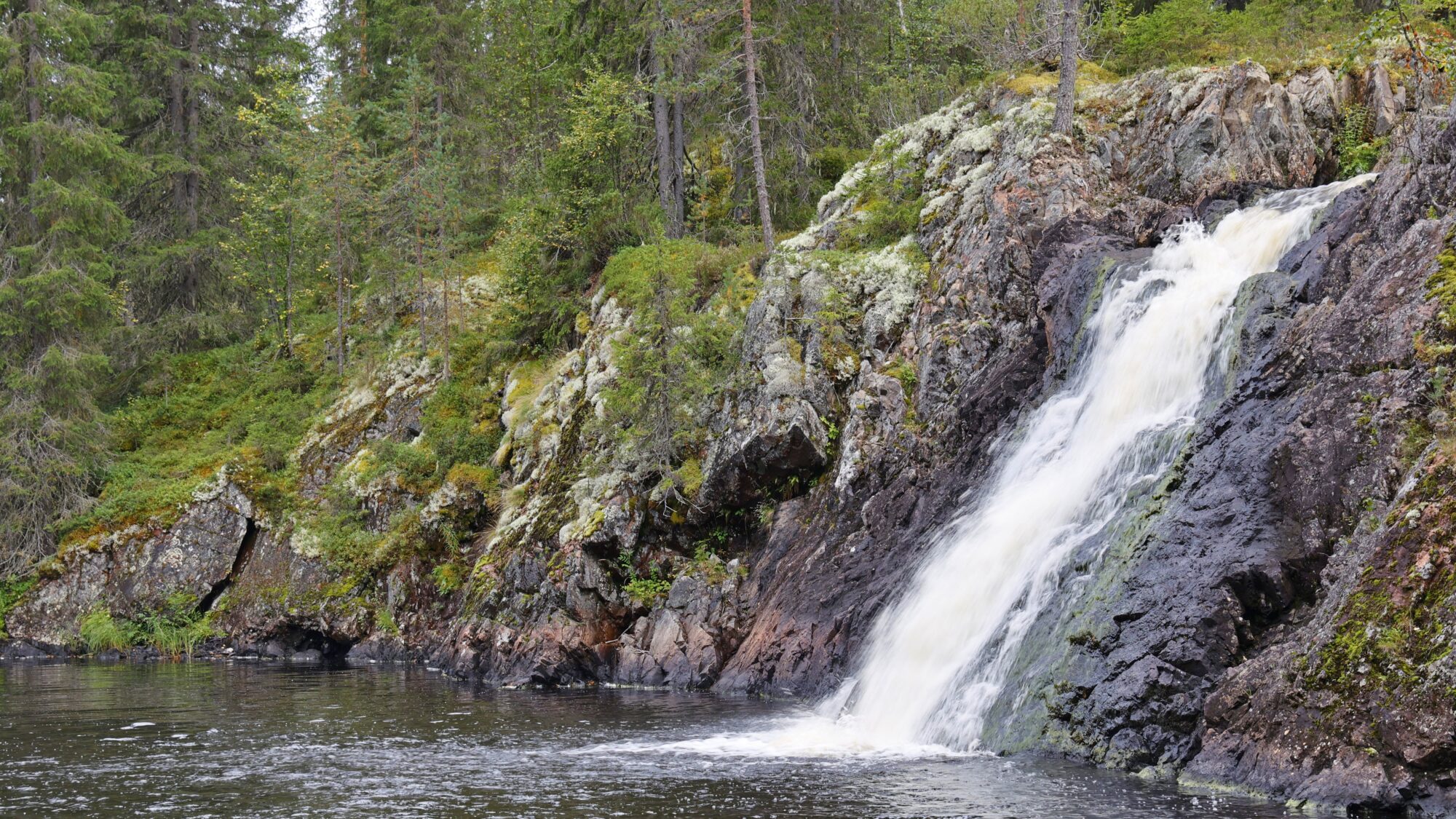 Valokuvaaja: TOMMI KUJALA