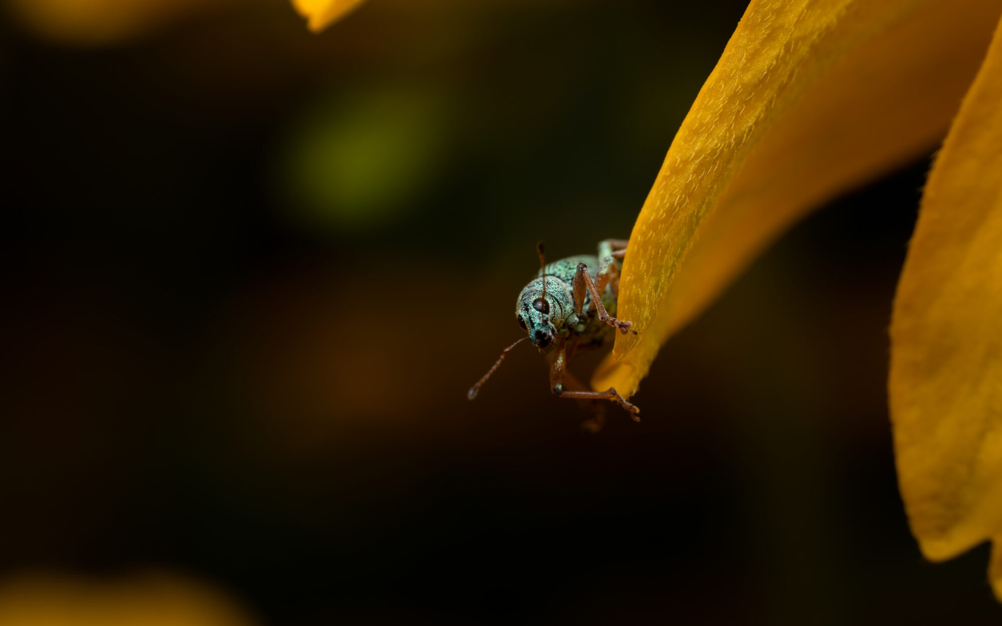 Valokuvaaja: Leevi Halme