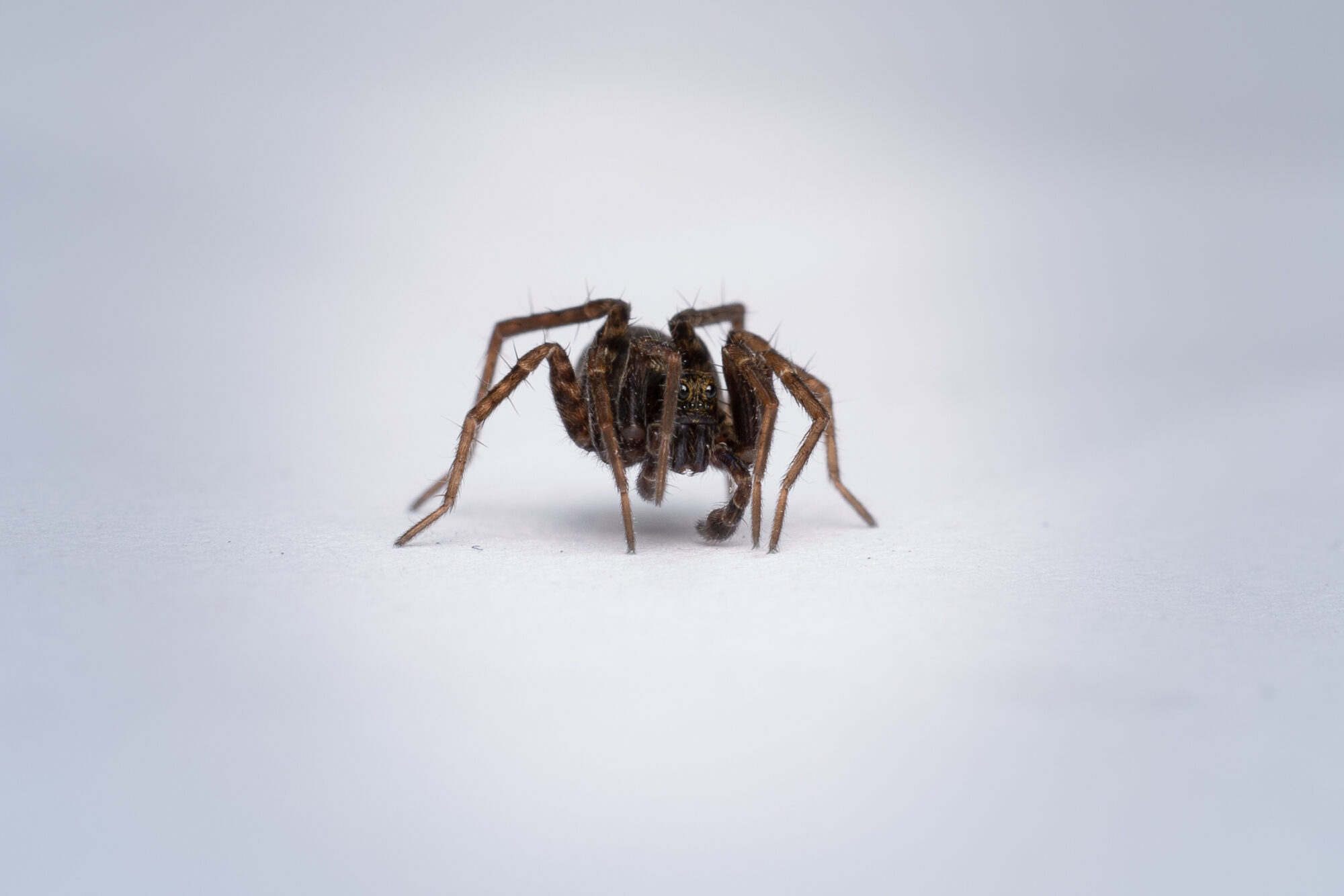 Valokuvaaja: Leevi Halme