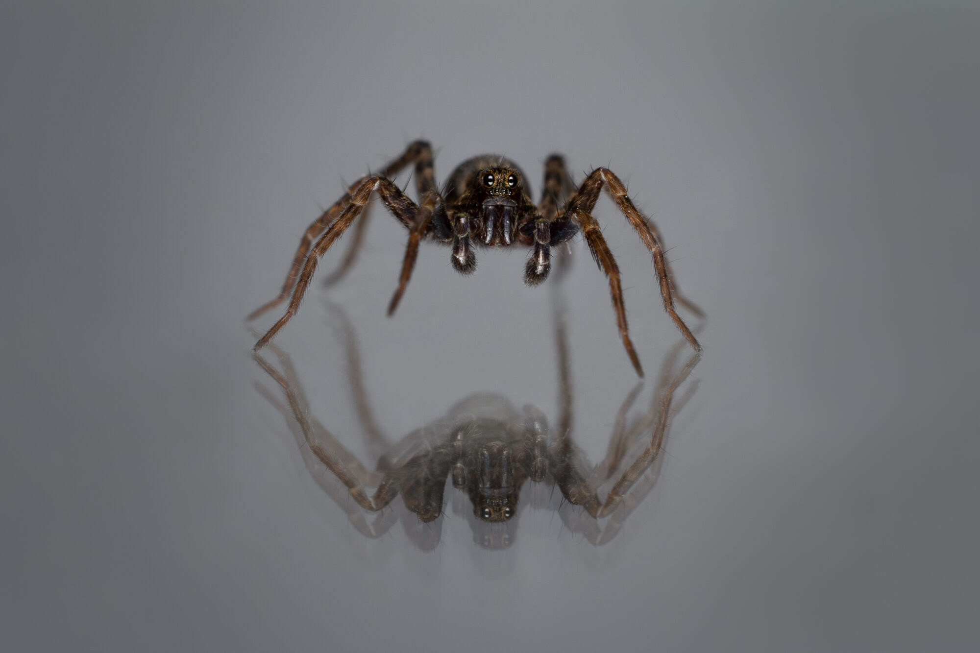 Valokuvaaja: Leevi Halme