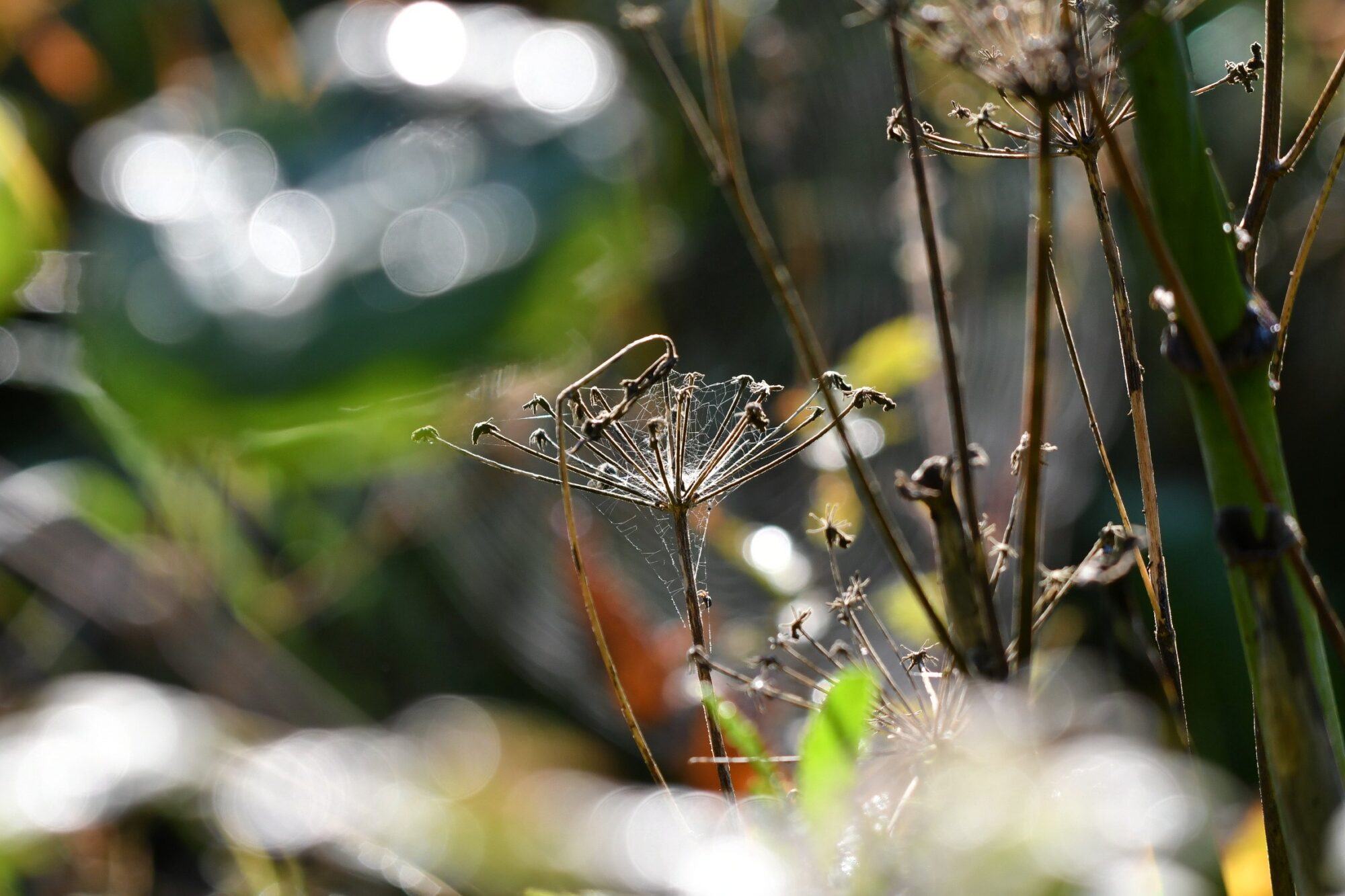 Valokuvaaja: Antti Kaskinen