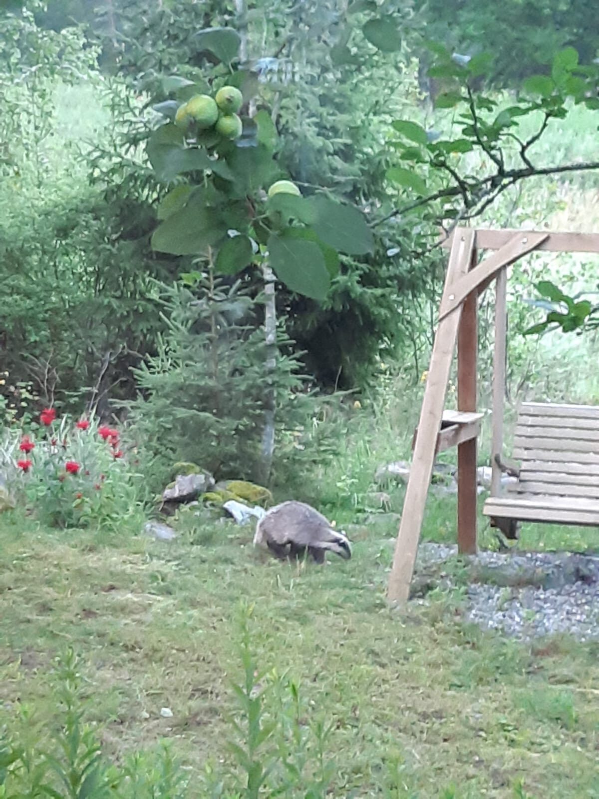 Valokuvaaja: Mika Nurminen