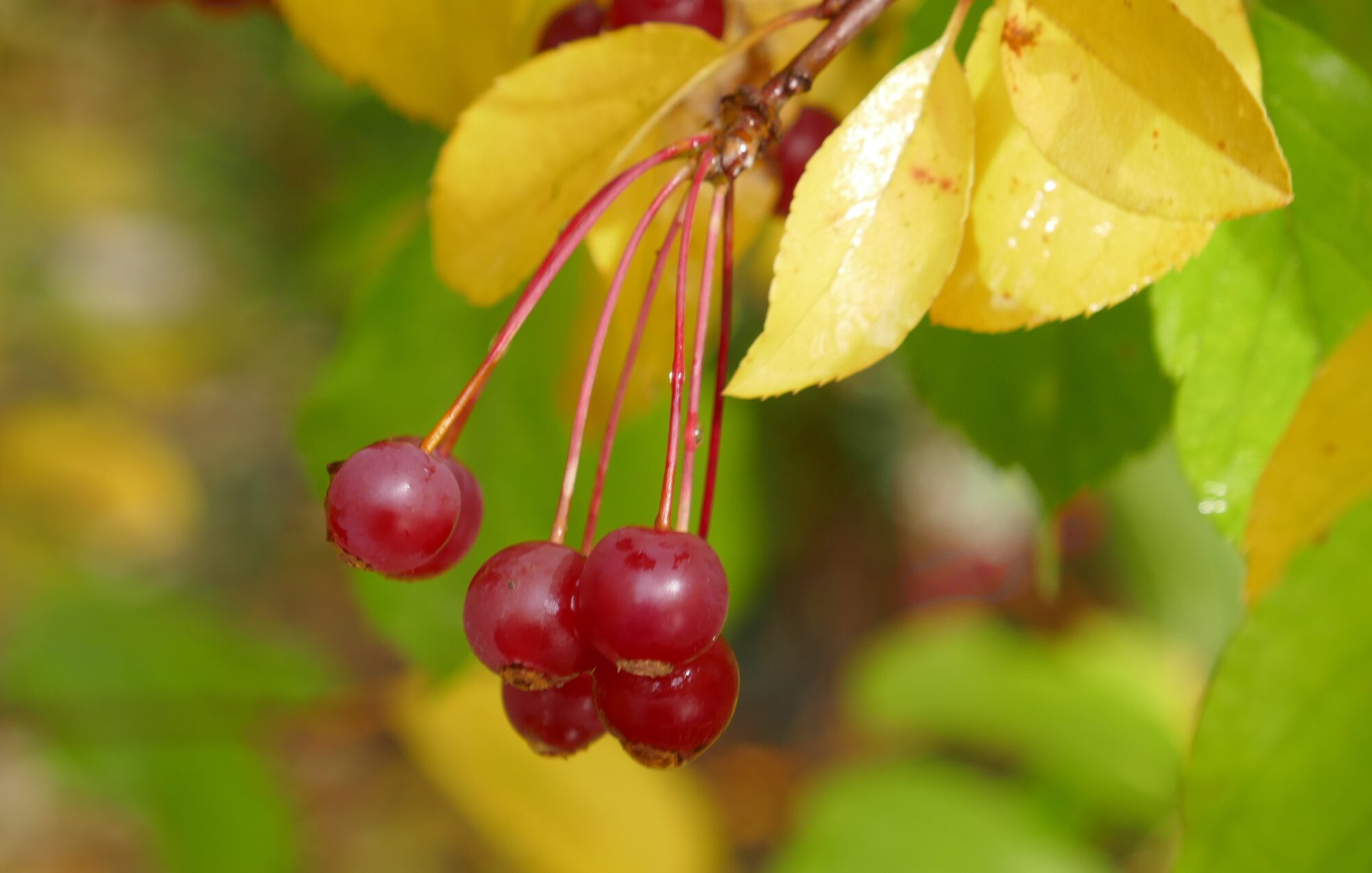 Valokuvaaja: Marjut Ikonen