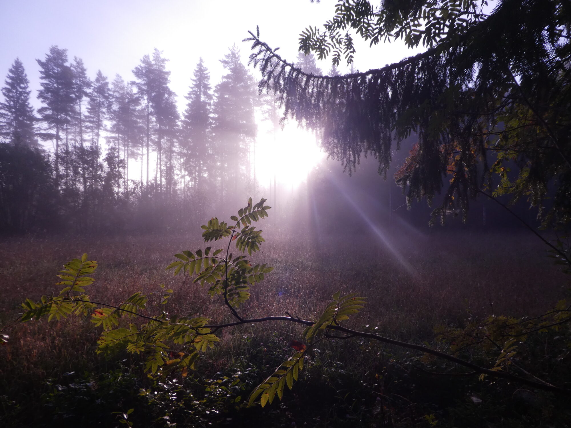 Valokuvaaja: Anja Mustamaa