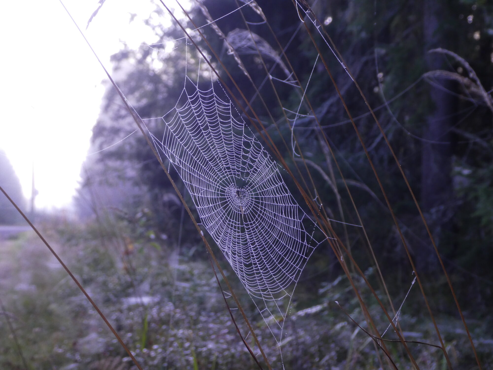 Valokuvaaja: Anja Mustamaa