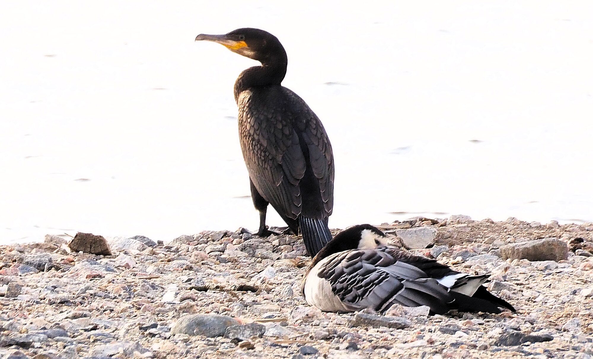 Valokuvaaja: Arja Valtonen