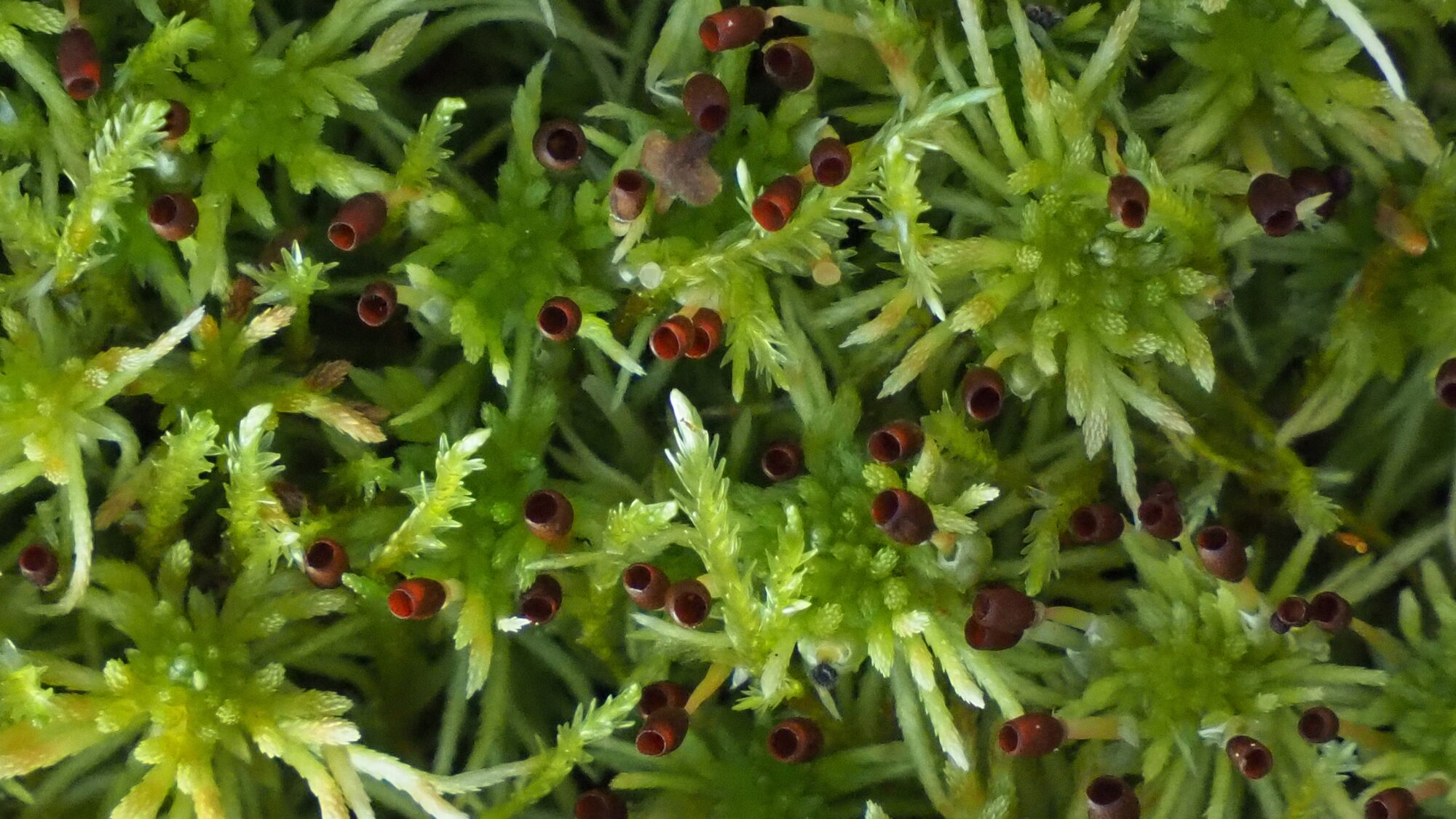 Valokuvaaja: Martti Valtonen