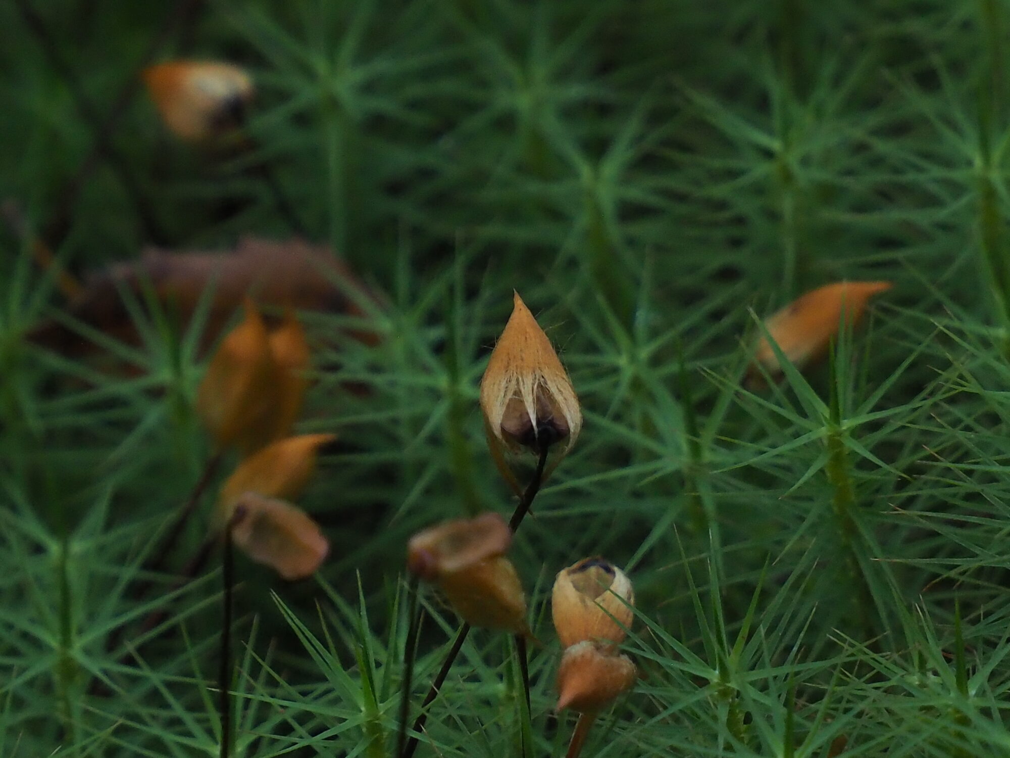 Valokuvaaja: Martti Valtonen Valokuvaaja: Martti Valtonen