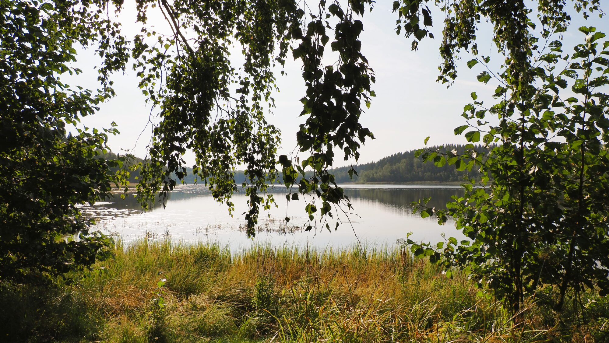 Valokuvaaja: Arja Valtonen Valokuvaaja: Arja Valtonen