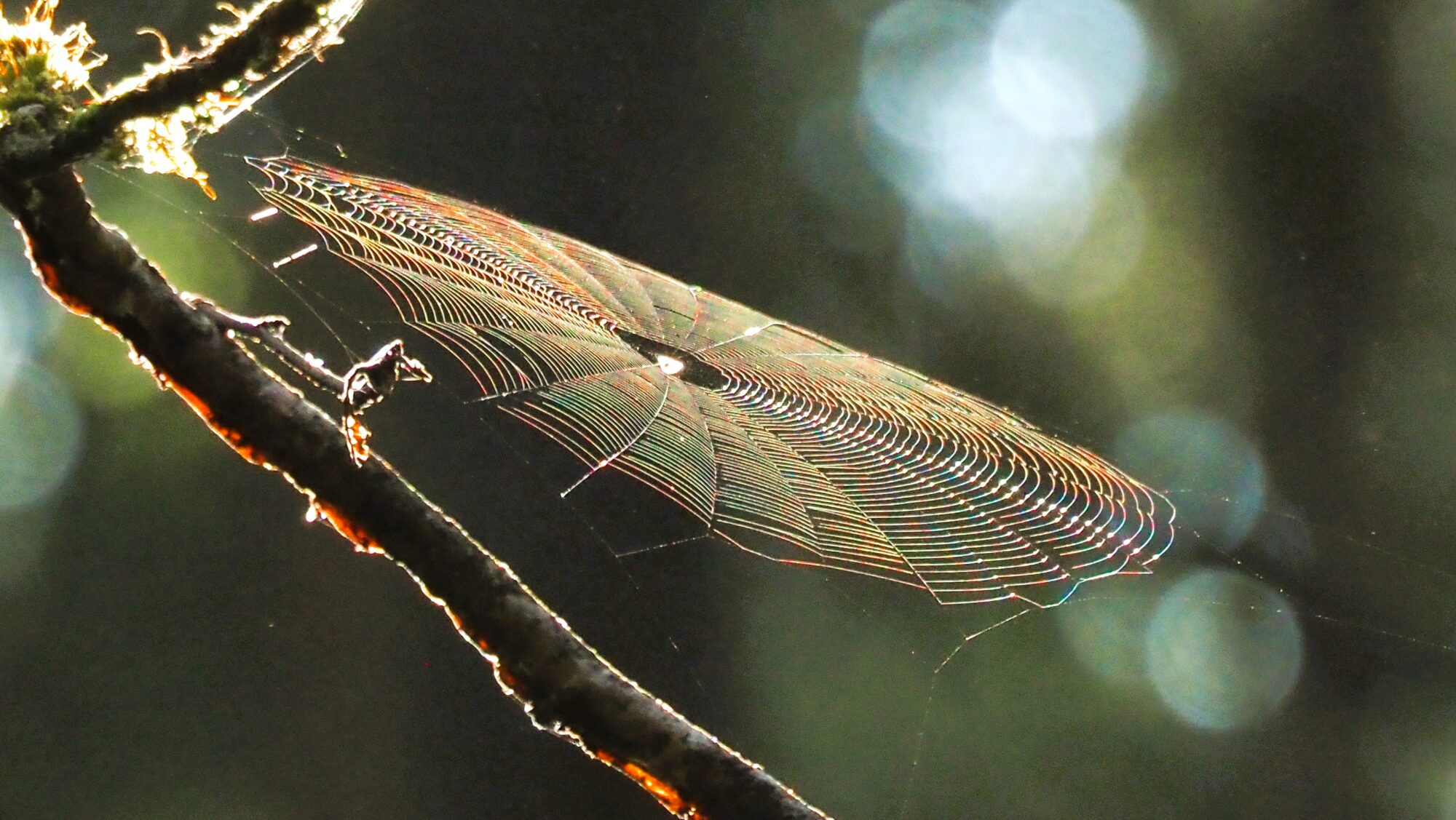 Valokuvaaja: Arja Valtonen