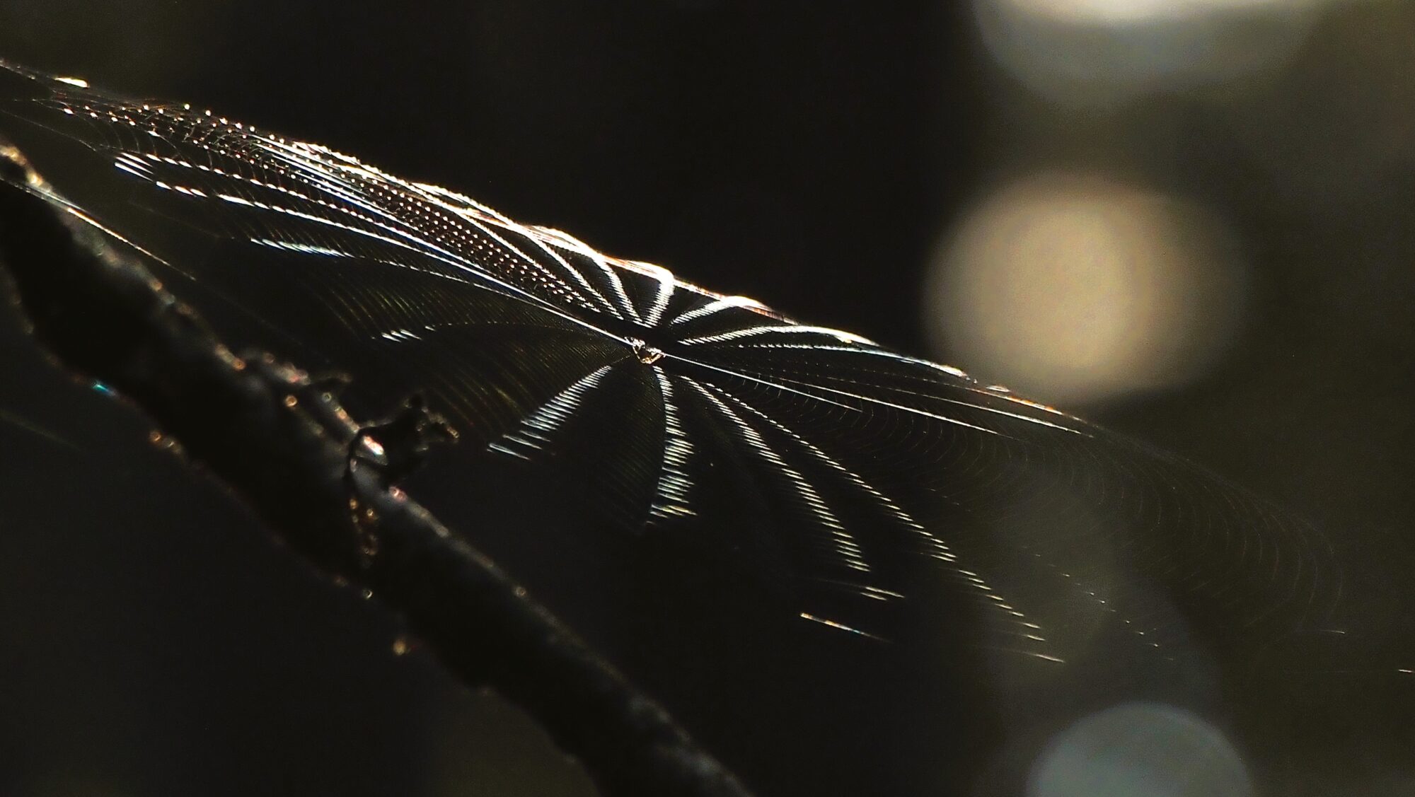 Valokuvaaja: Arja Valtonen