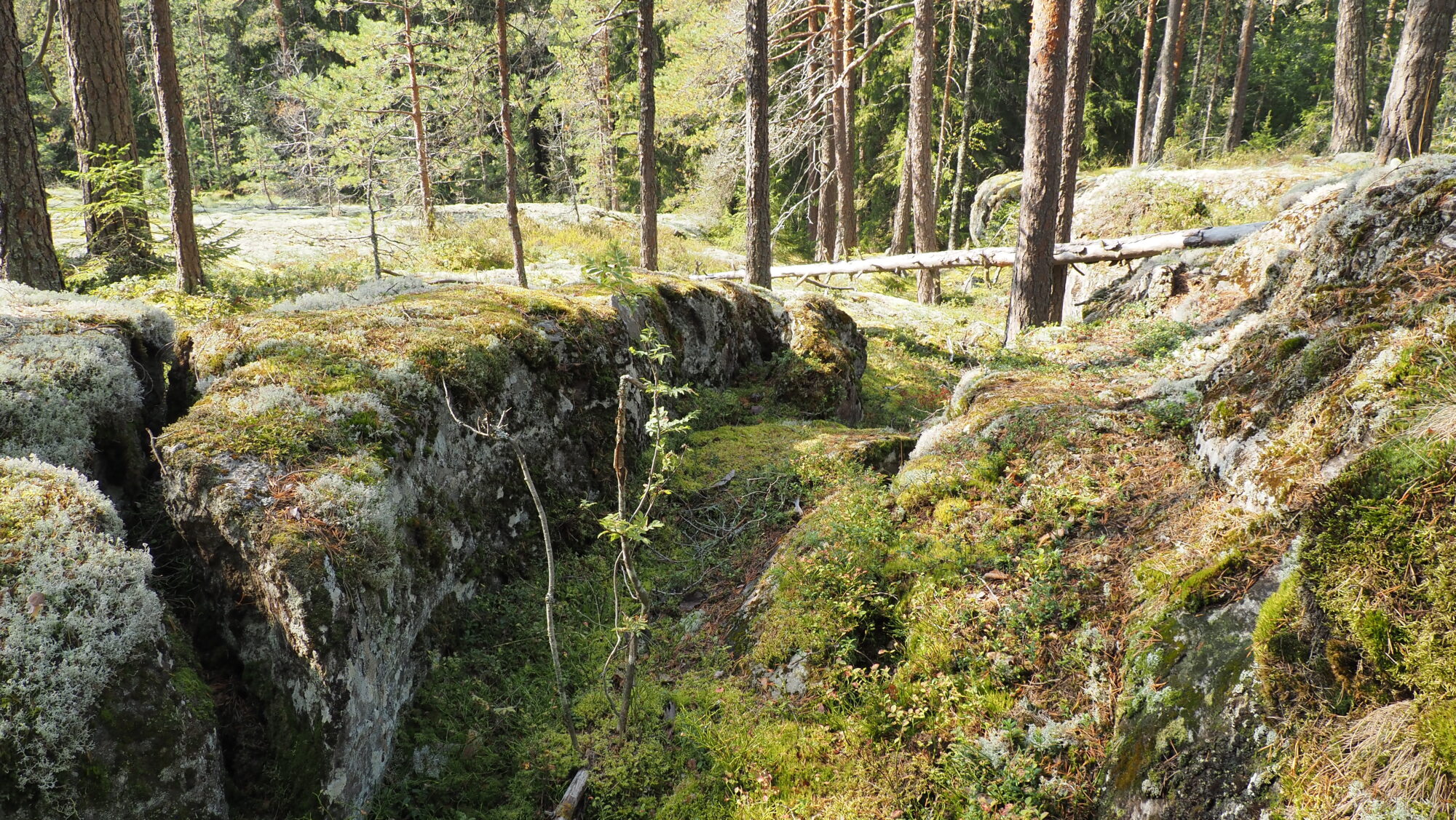 Valokuvaaja: Arja Valtonen Valokuvaaja: Arja Valtonen