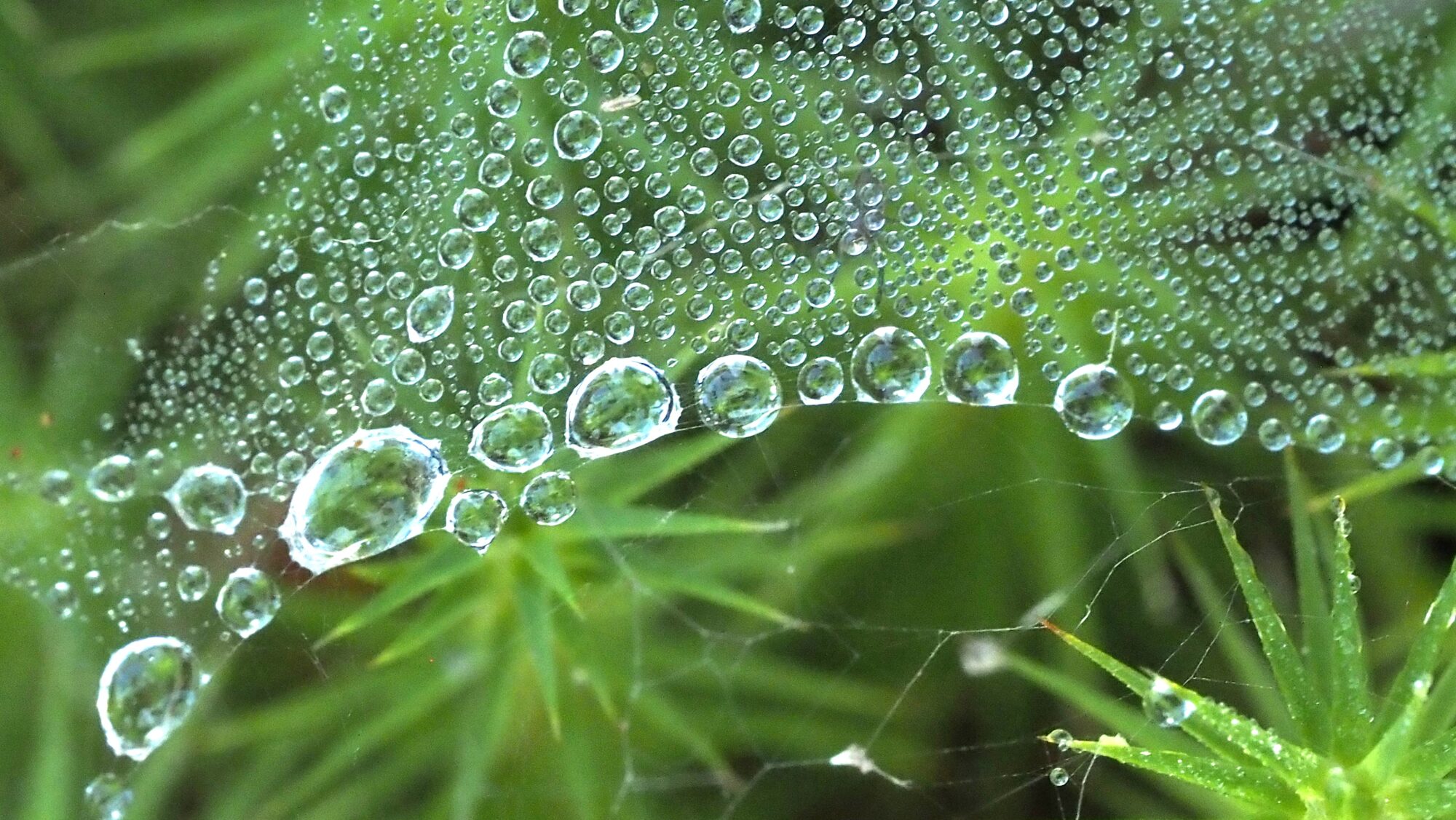 Valokuvaaja: Arja Valtonen