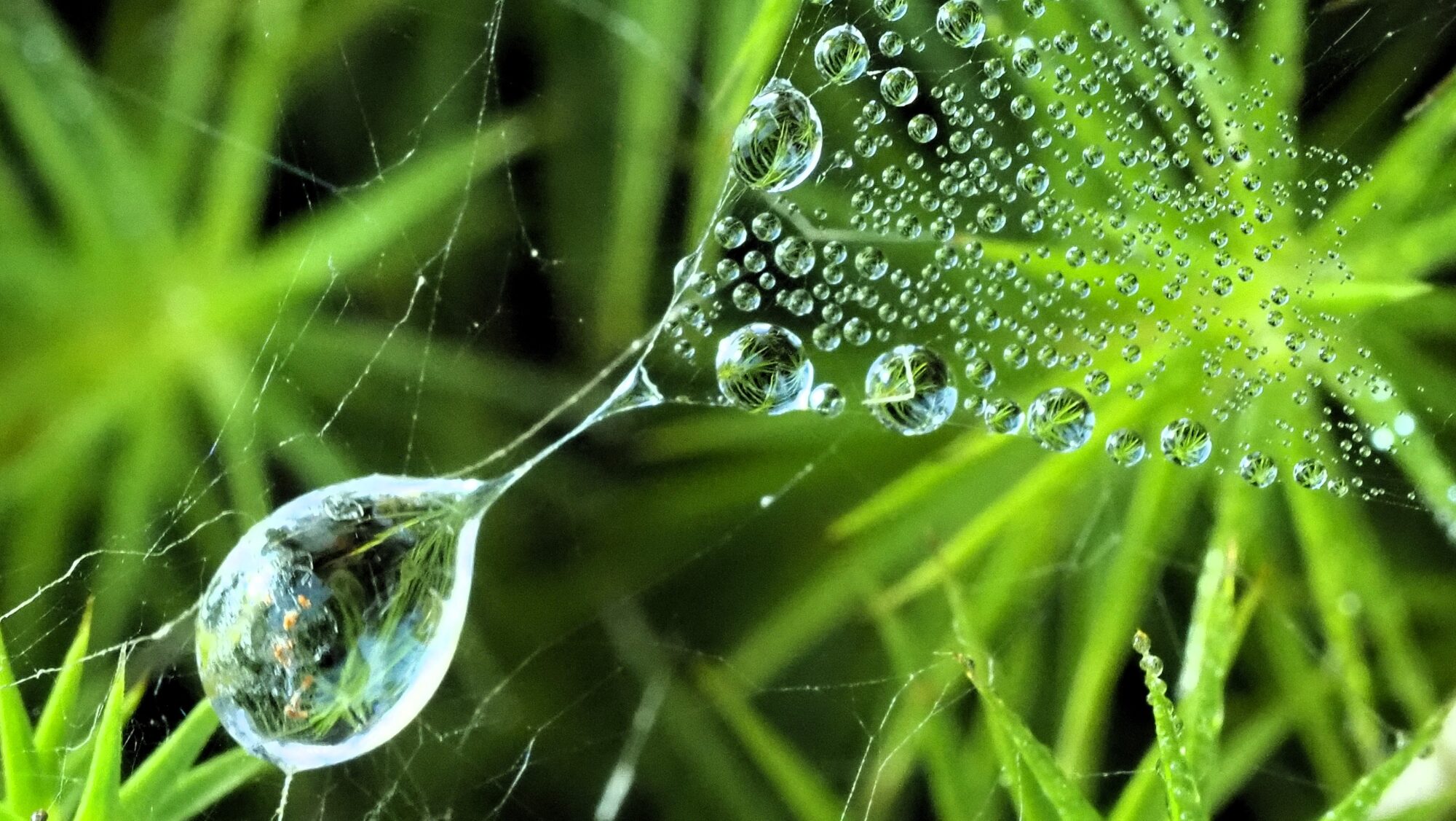 Valokuvaaja: Arja Valtonen