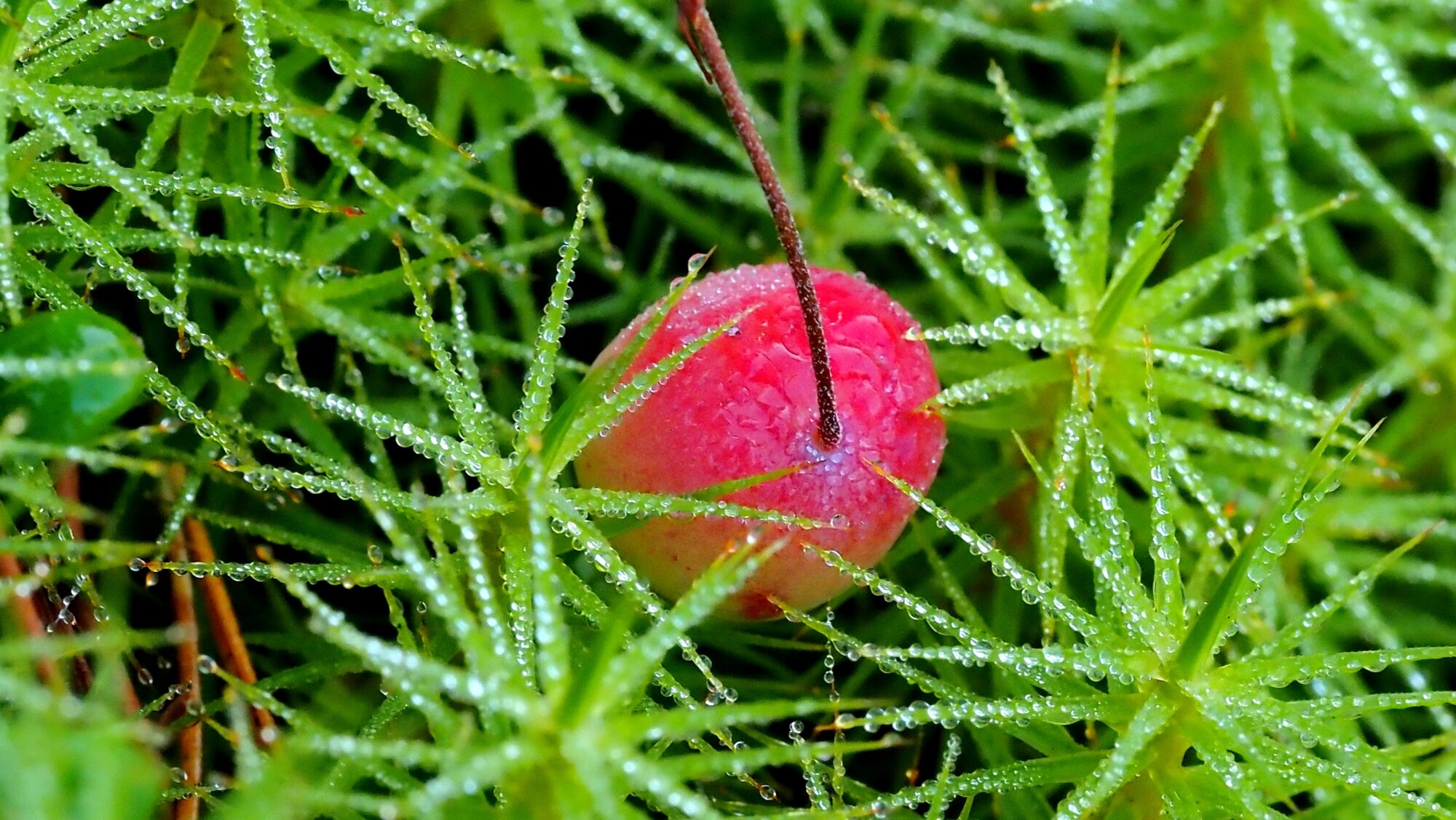 Valokuvaaja: Arja Valtonen