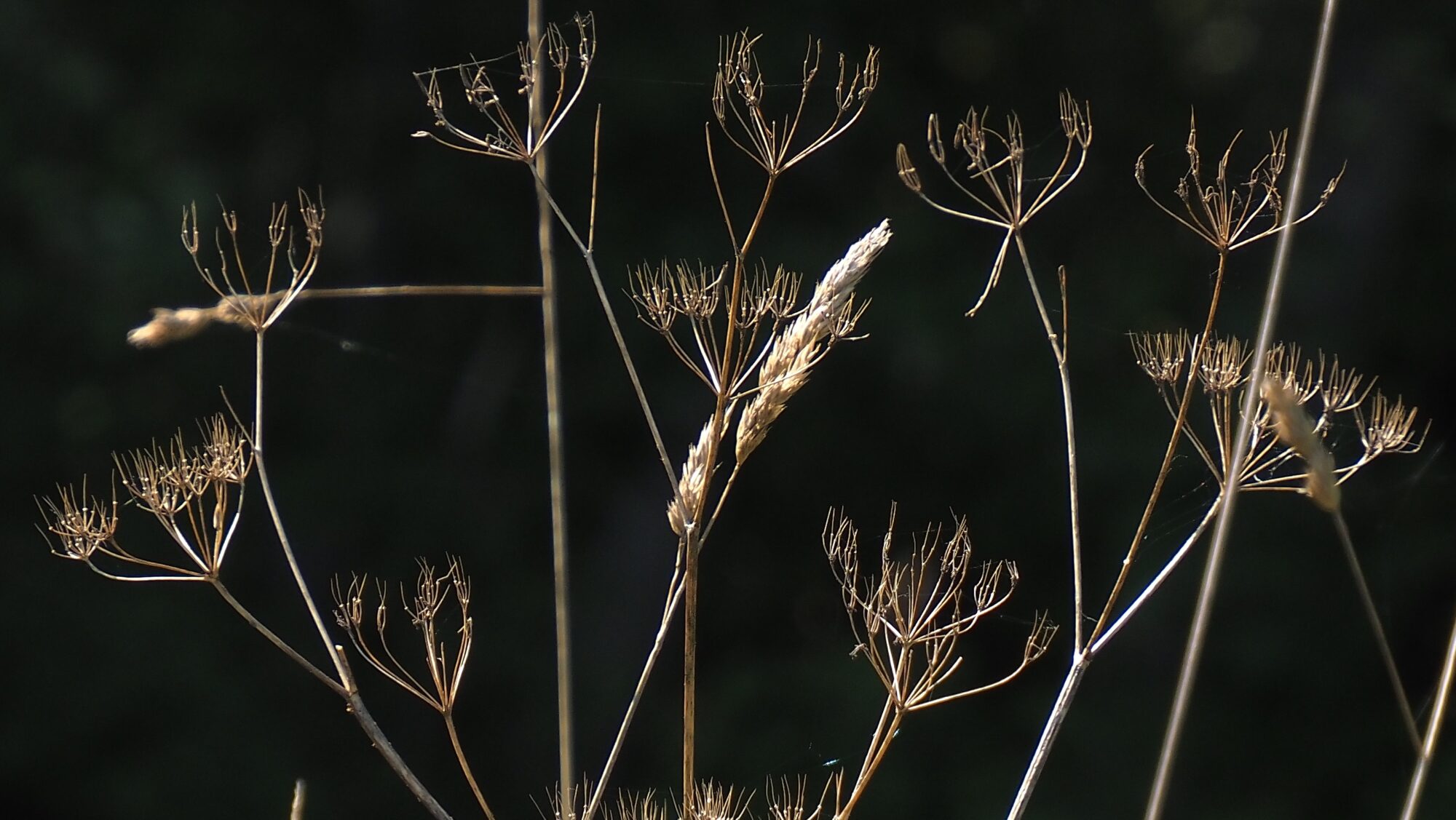 Valokuvaaja: Arja Valtonen