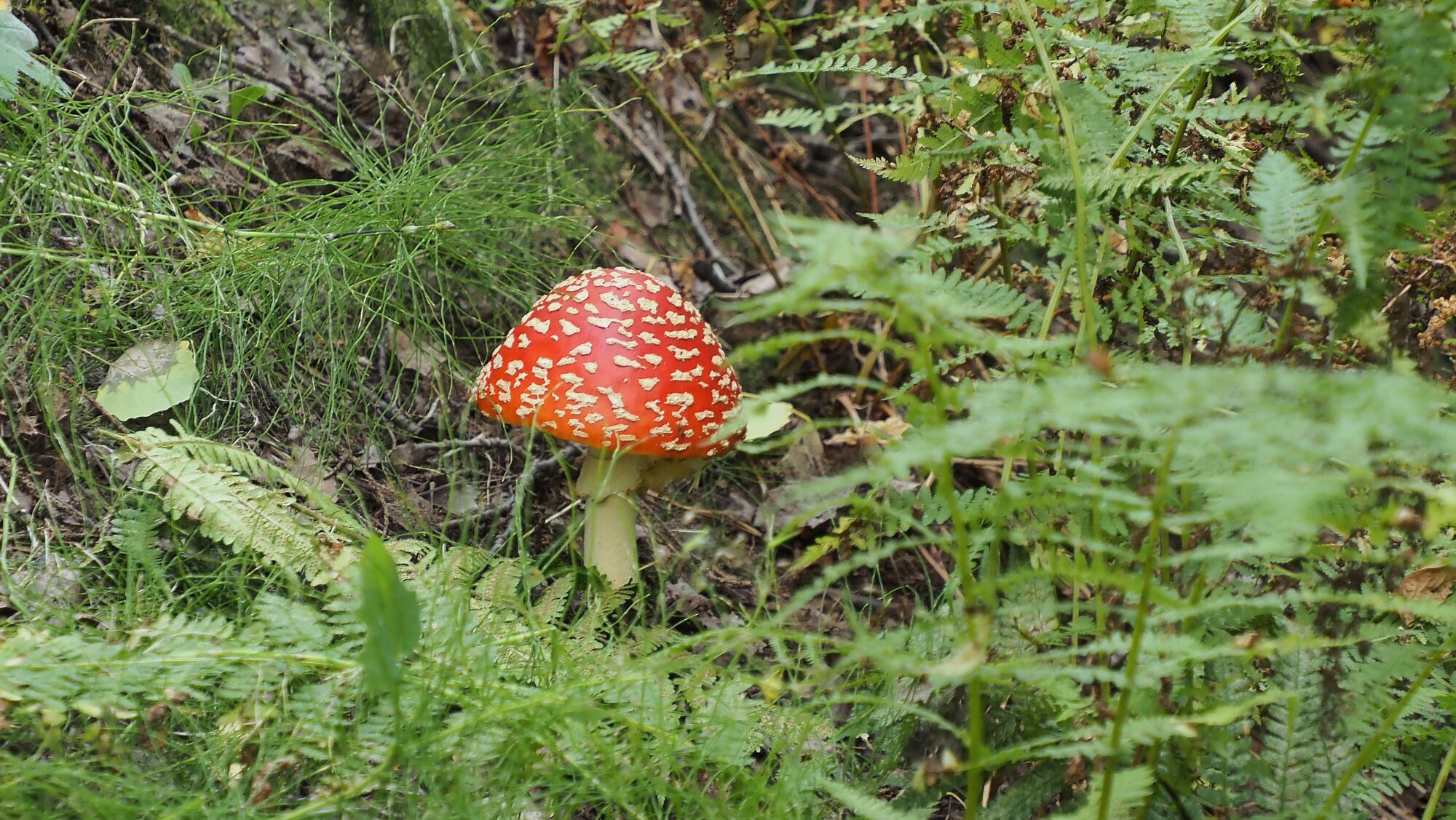 Valokuvaaja: Arja Valtonen