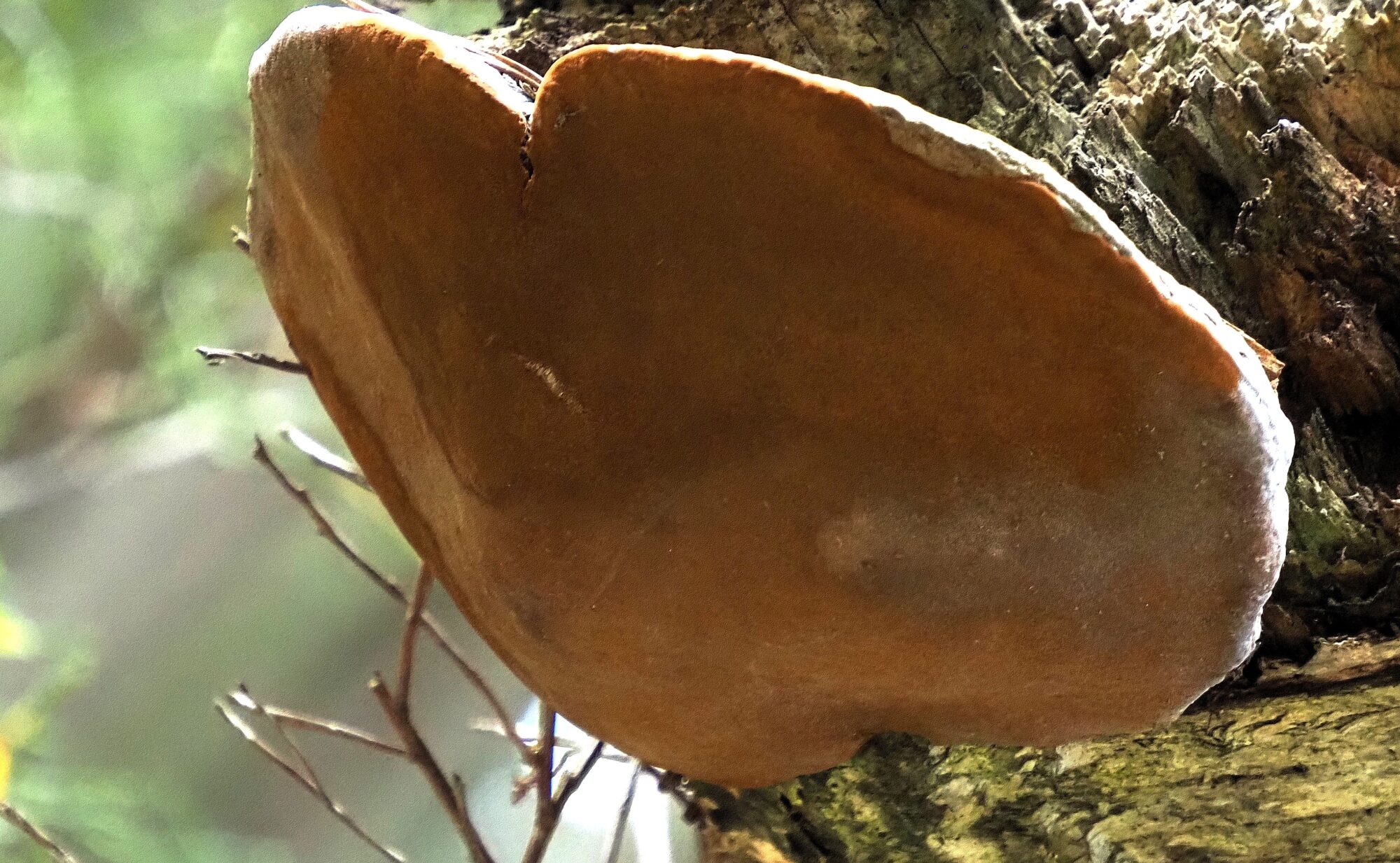 Valokuvaaja: Arja Valtonen