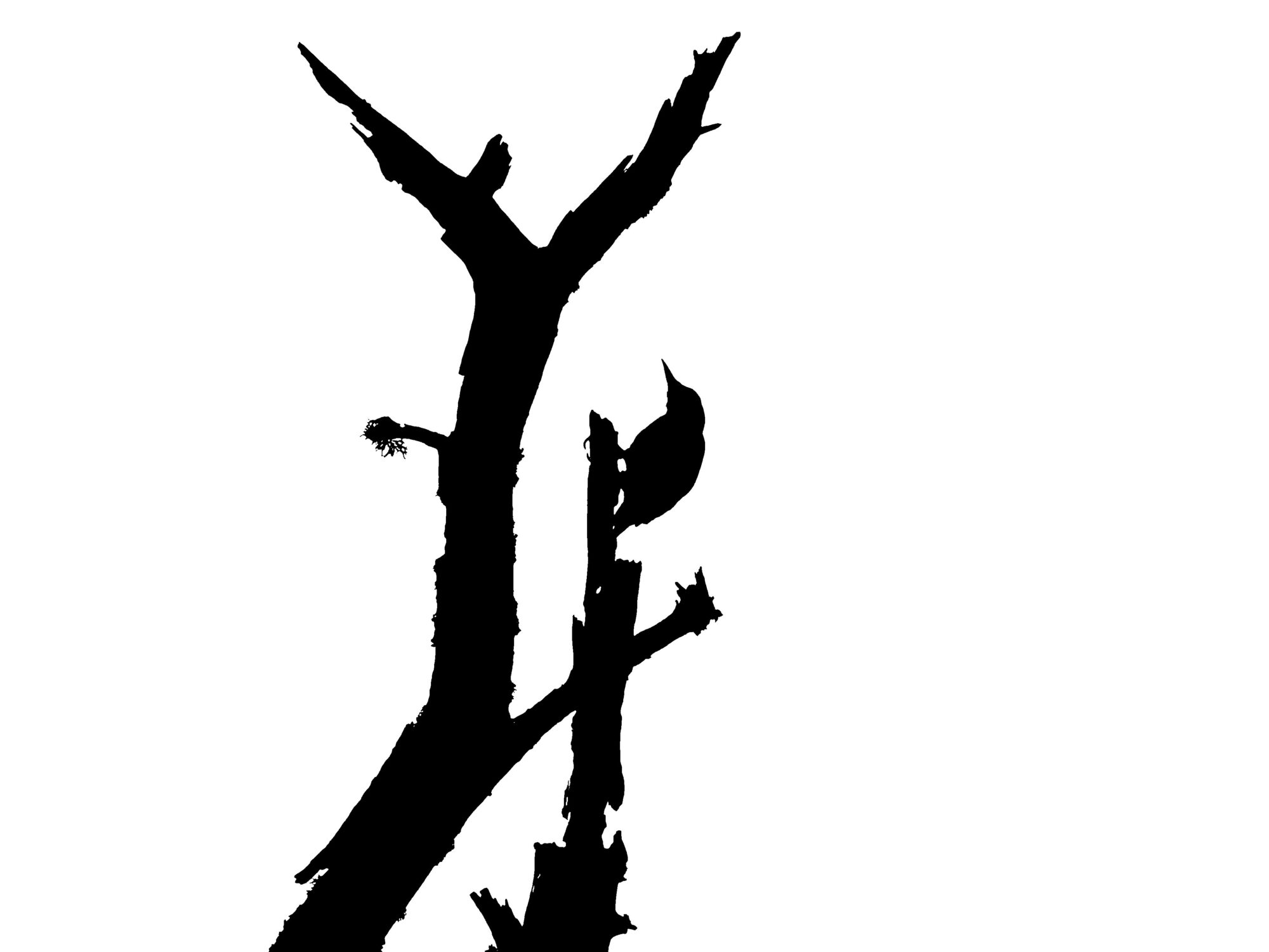 Valokuvaaja: Arja Valtonen