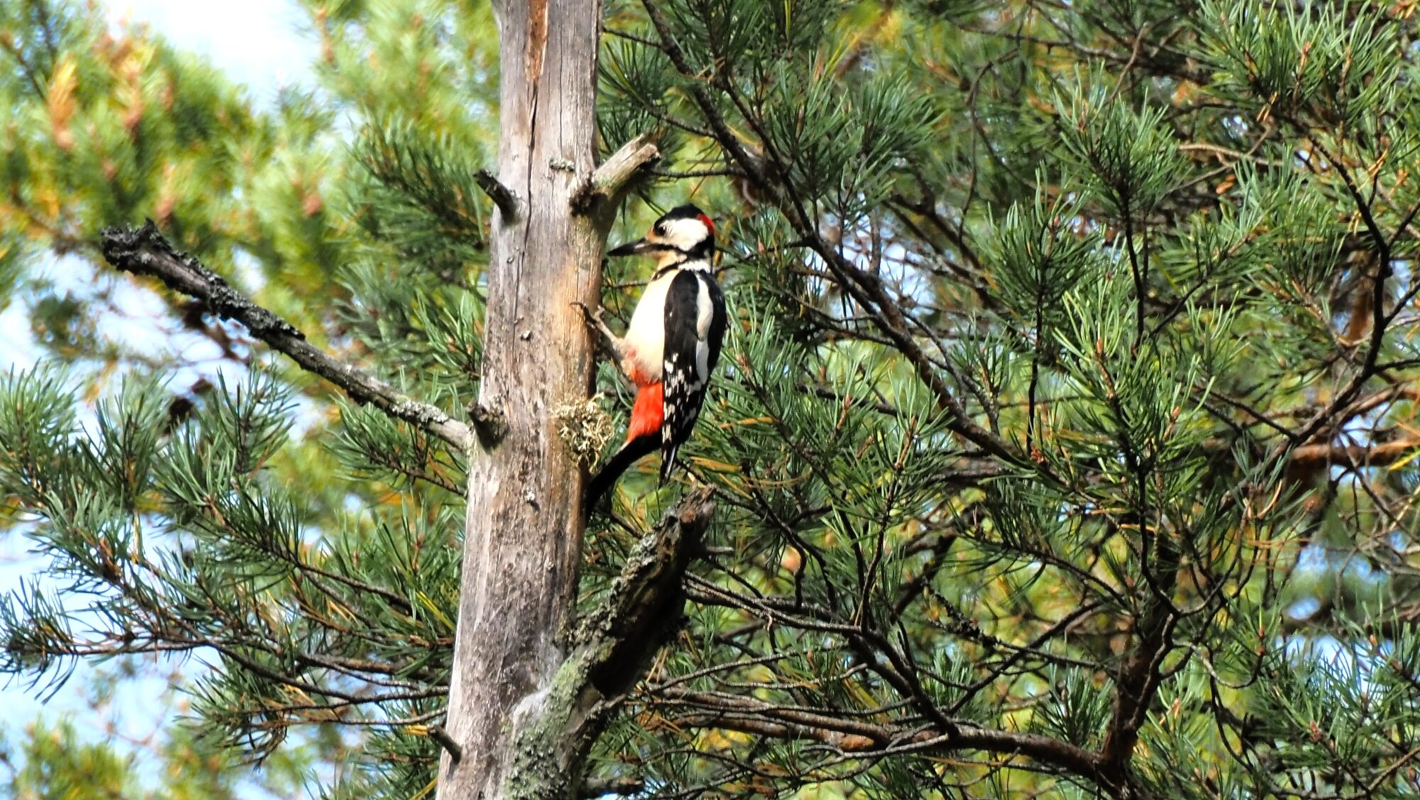 Valokuvaaja: Arja Valtonen