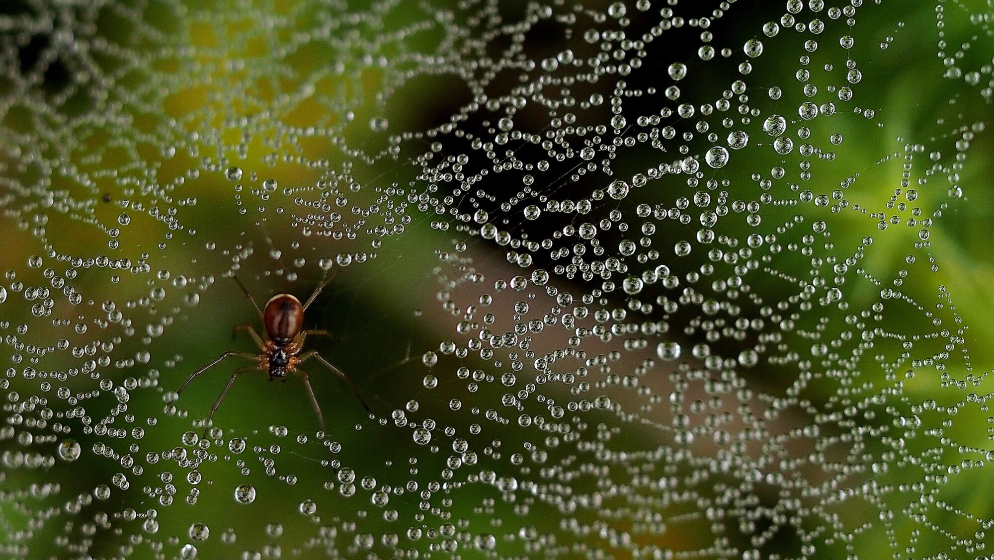 Valokuvaaja: Arja Valtonen