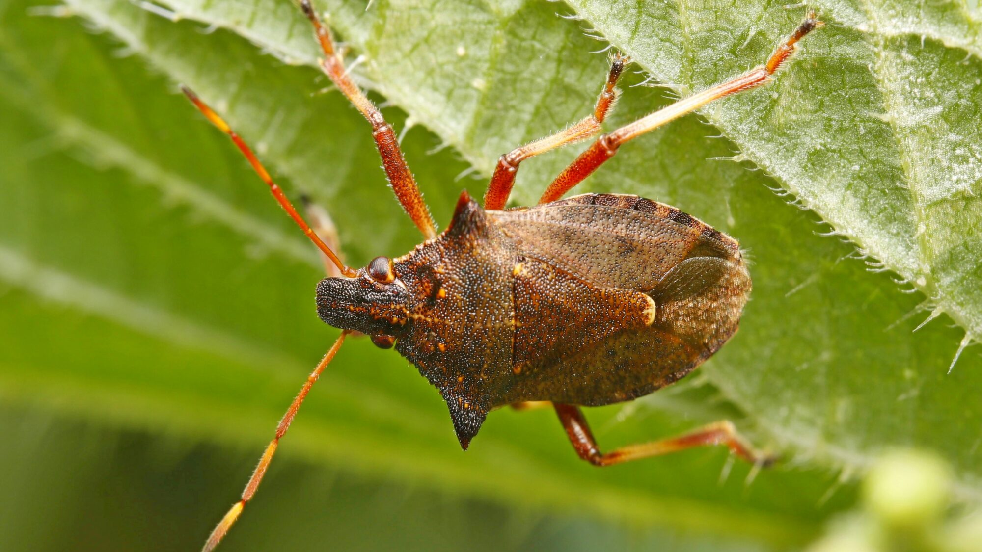 Valokuvaaja: TOMMI KUJALA