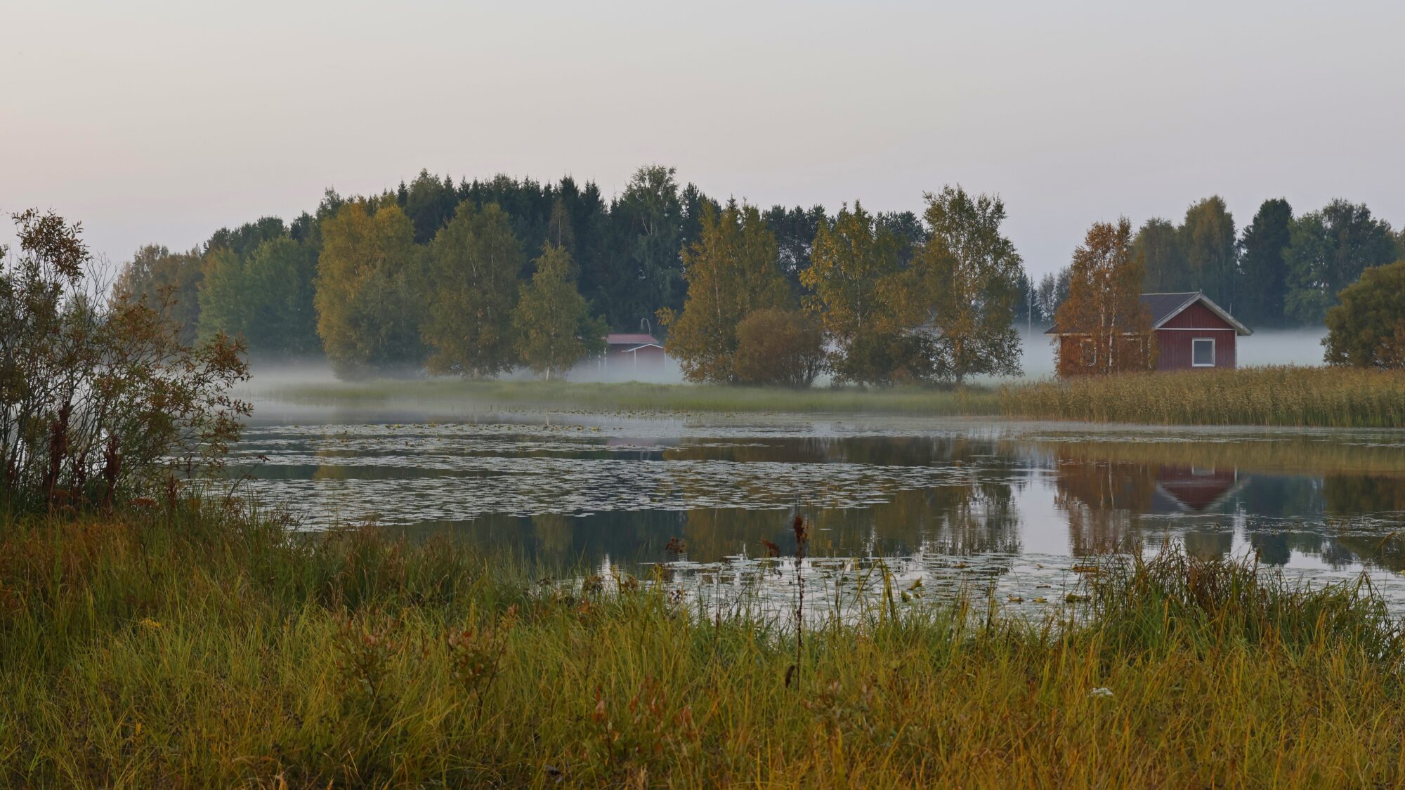 Valokuvaaja: TOMMI KUJALA Valokuvaaja: TOMMI KUJALA