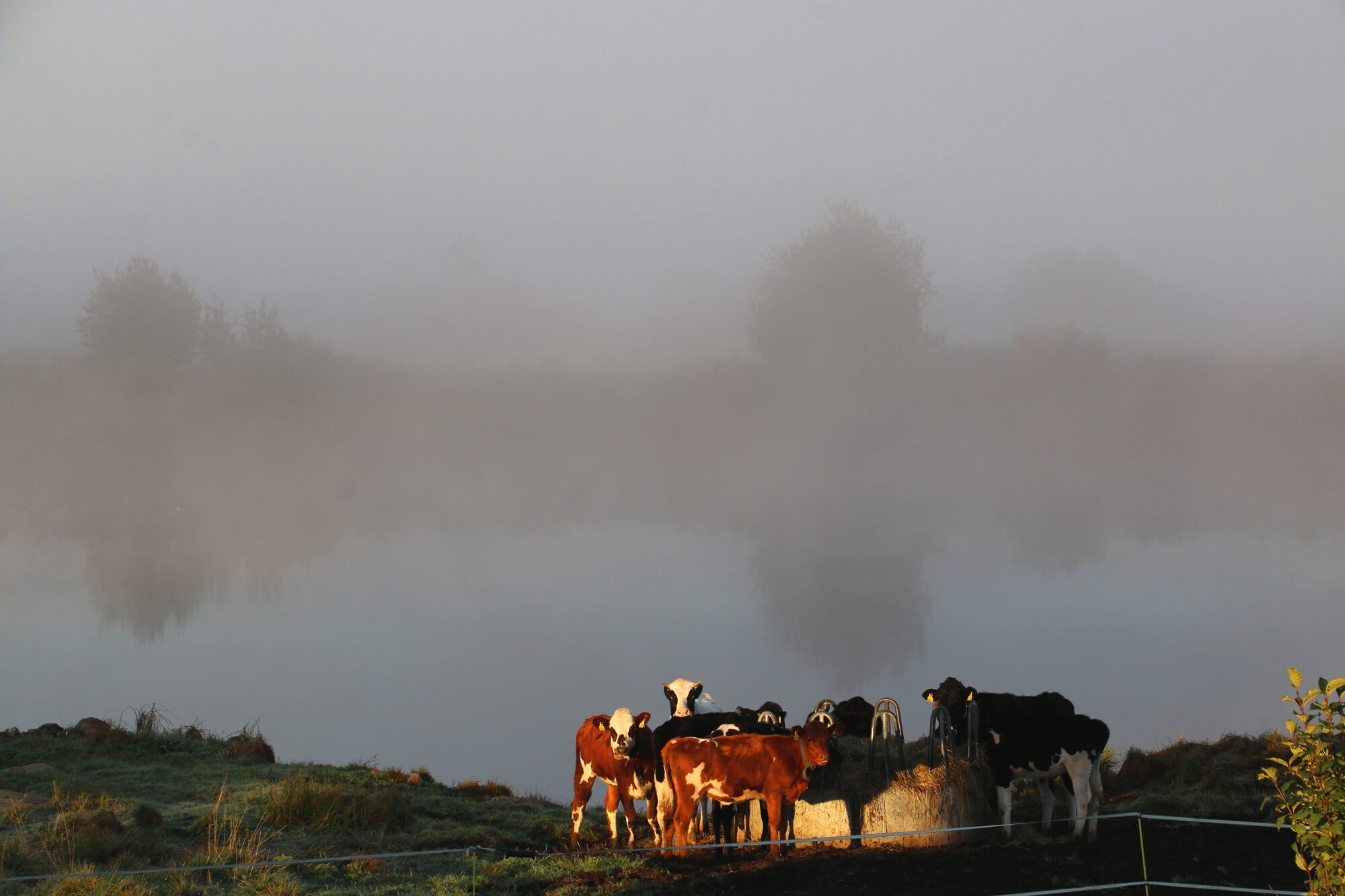 Valokuvaaja: Tuukka Pahtamaa