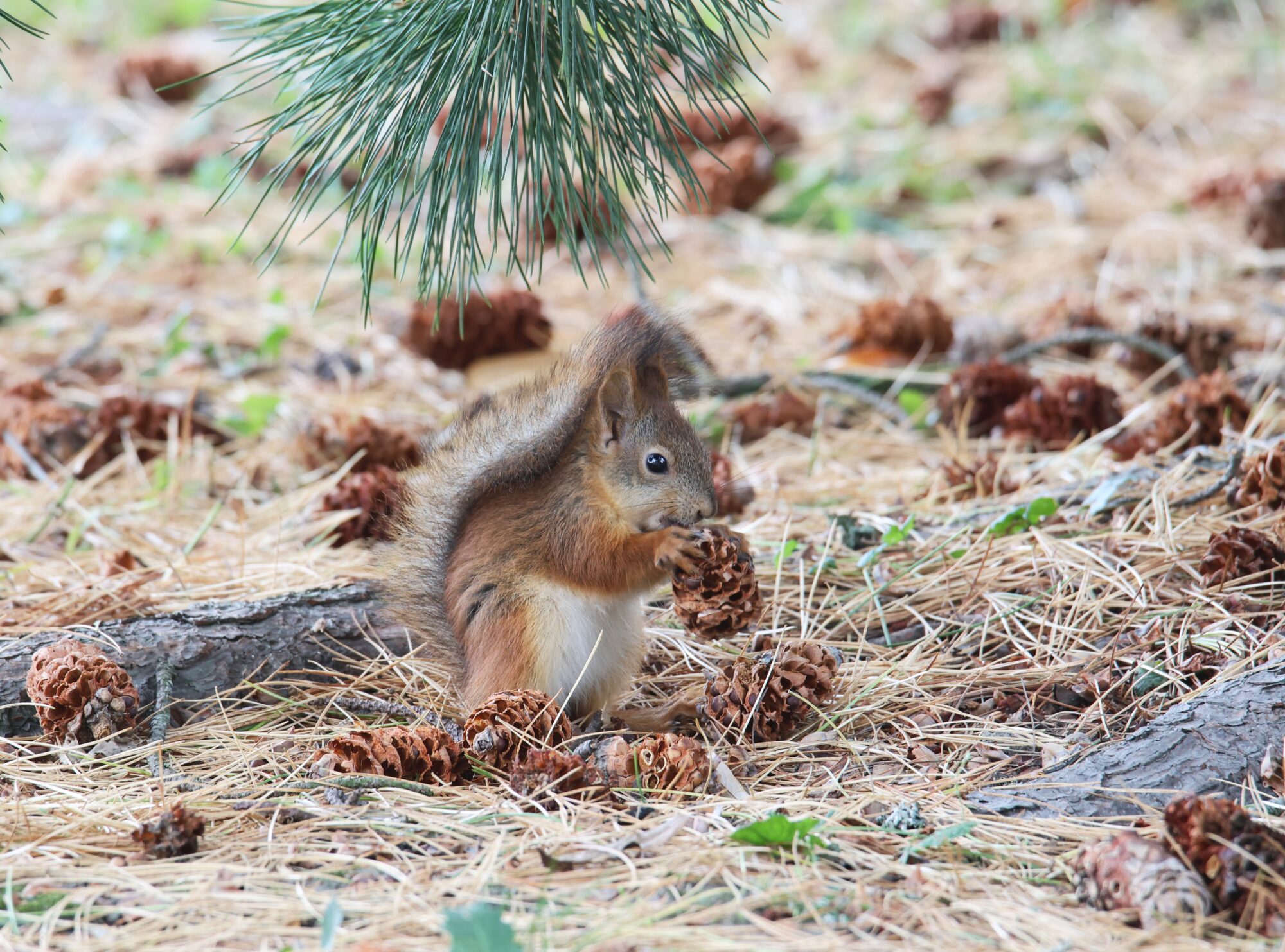 Valokuvaaja: Jaana Saarelainen