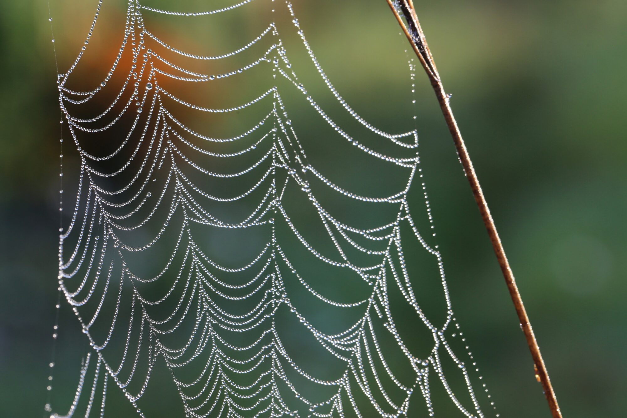 Valokuvaaja: Jaana Saarelainen