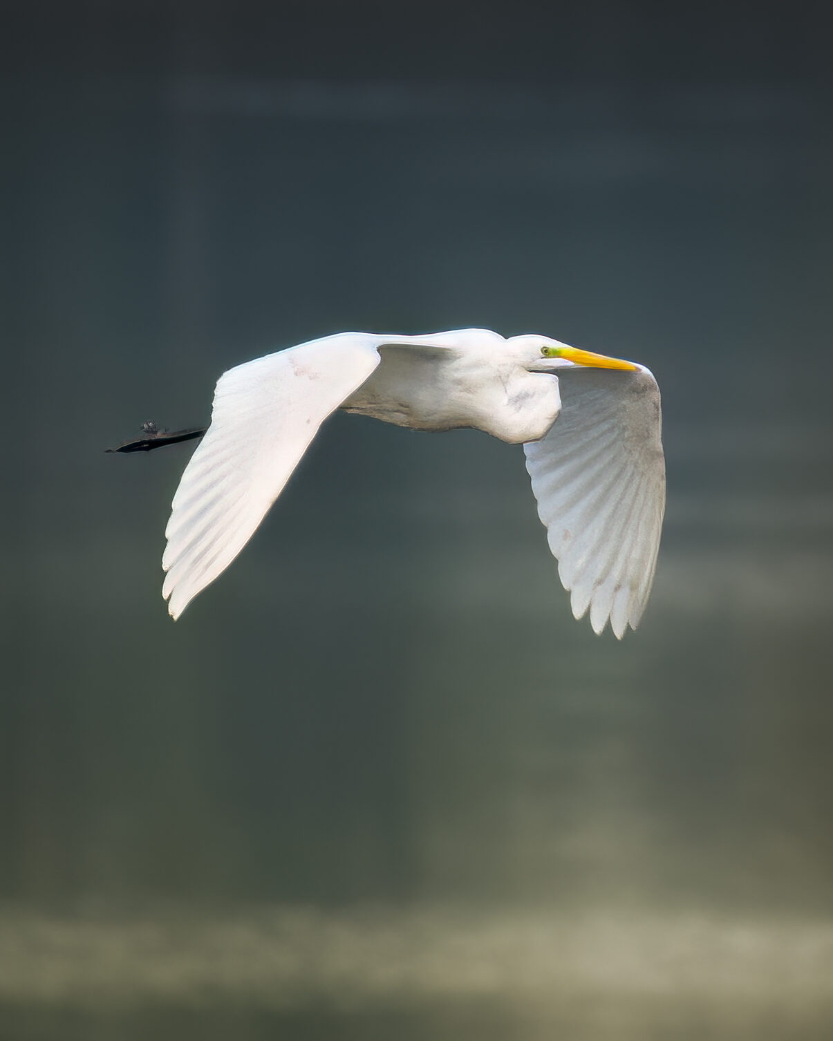 Valokuvaaja: Risto Lavi