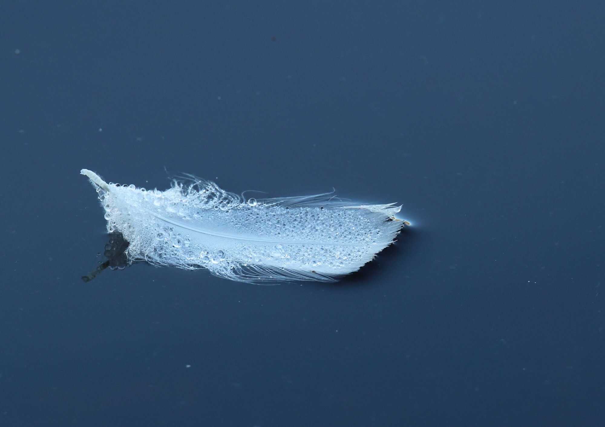 Valokuvaaja: Jaana Saarelainen