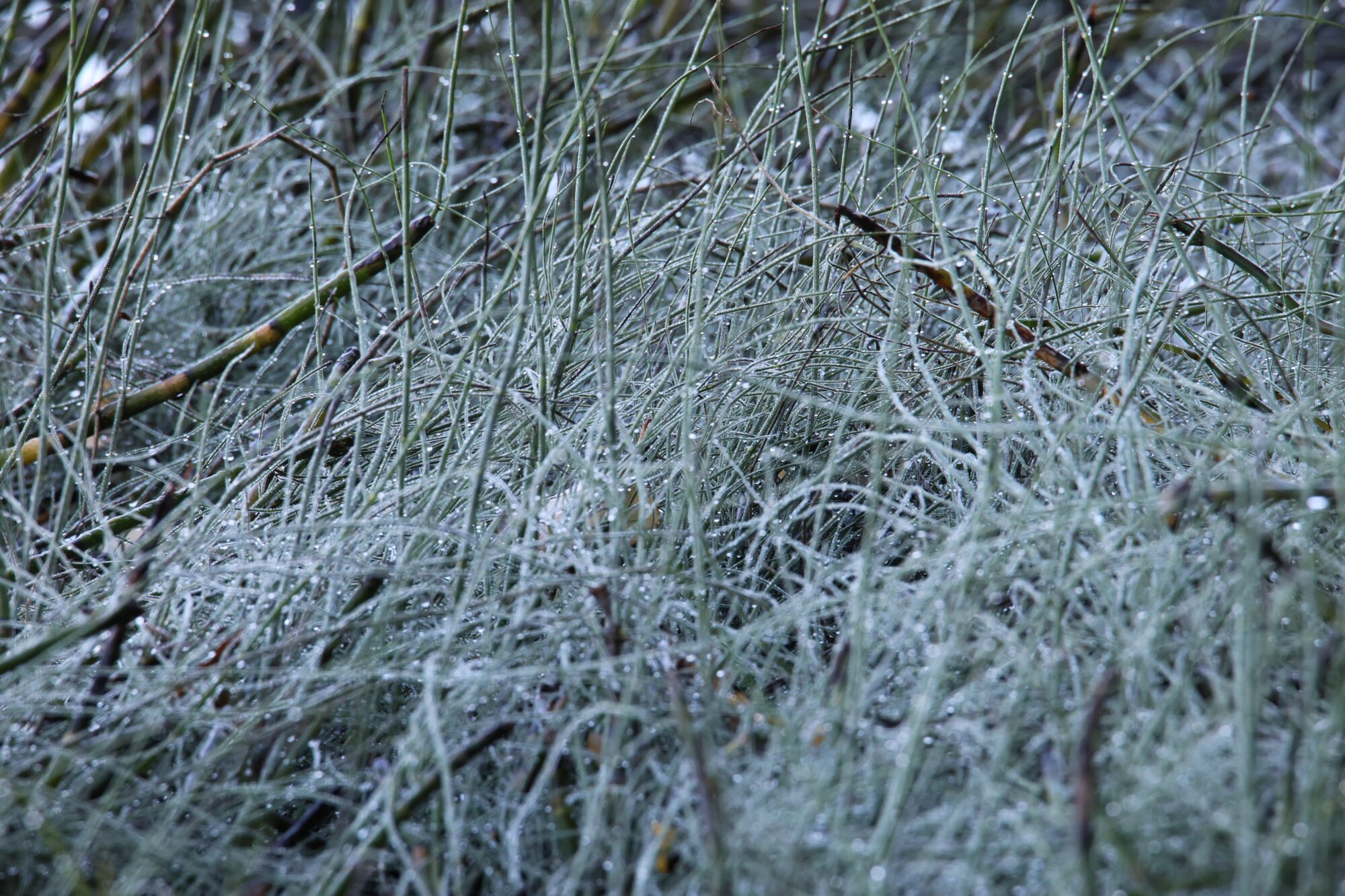 Valokuvaaja: Jaana Saarelainen