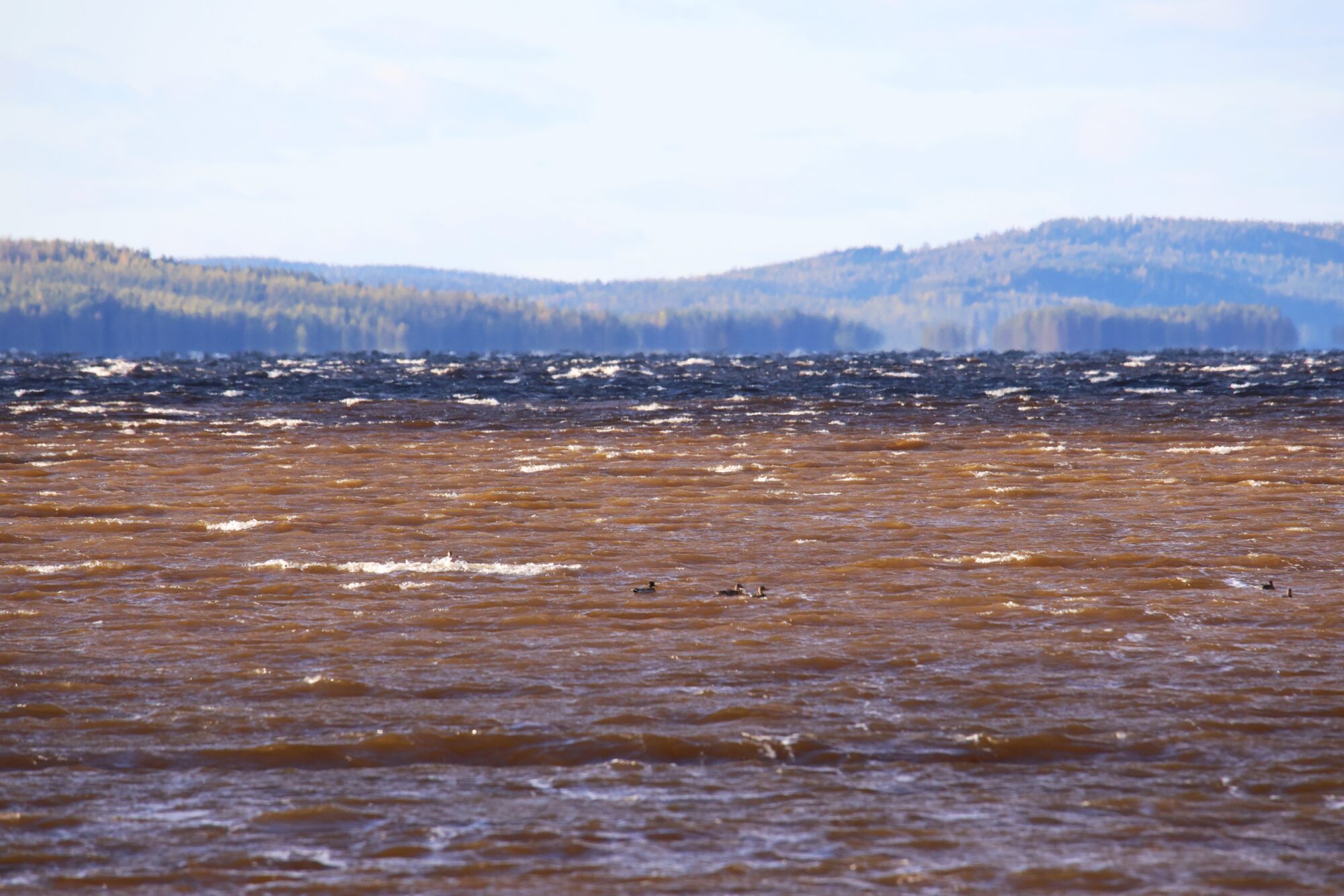 Valokuvaaja: Jaana Saarelainen