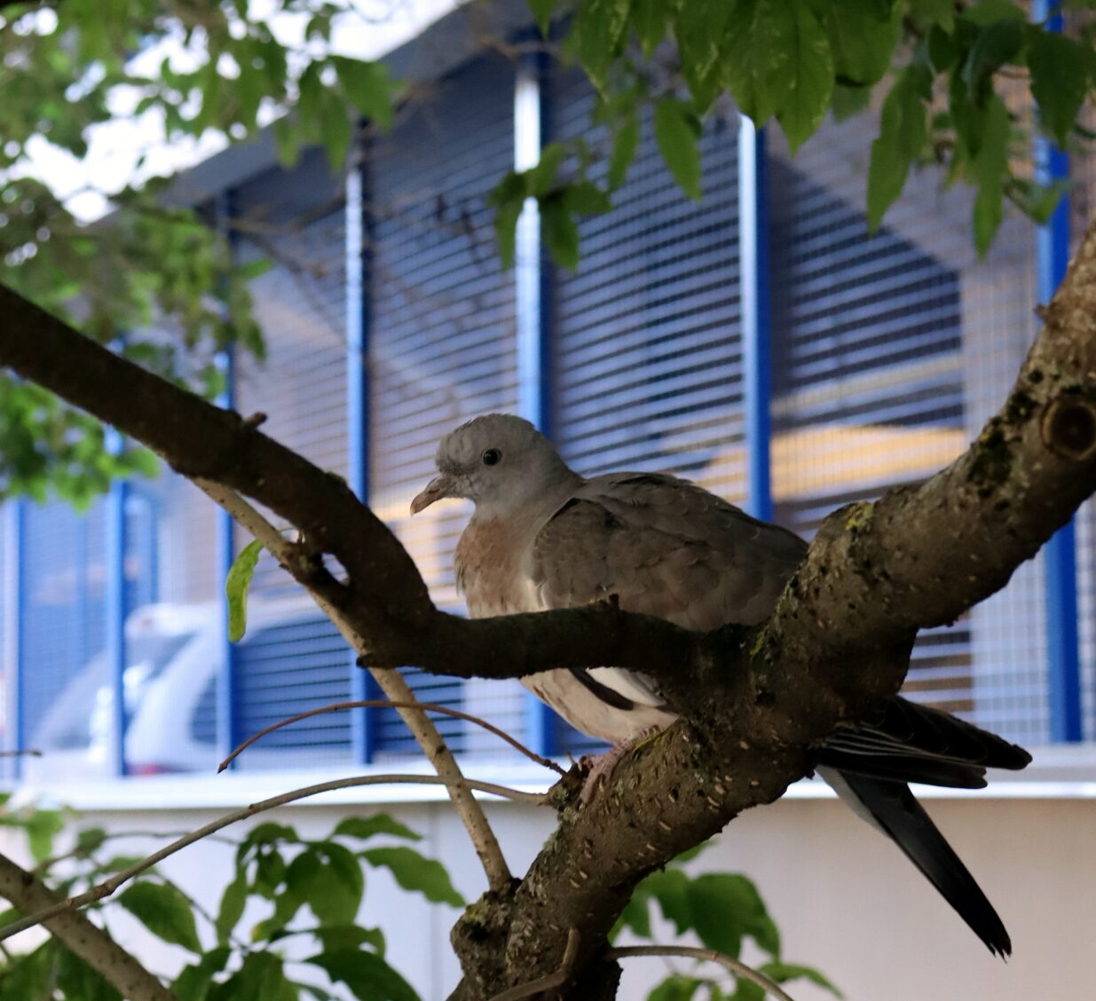 Valokuvaaja: Mika Luukkonen