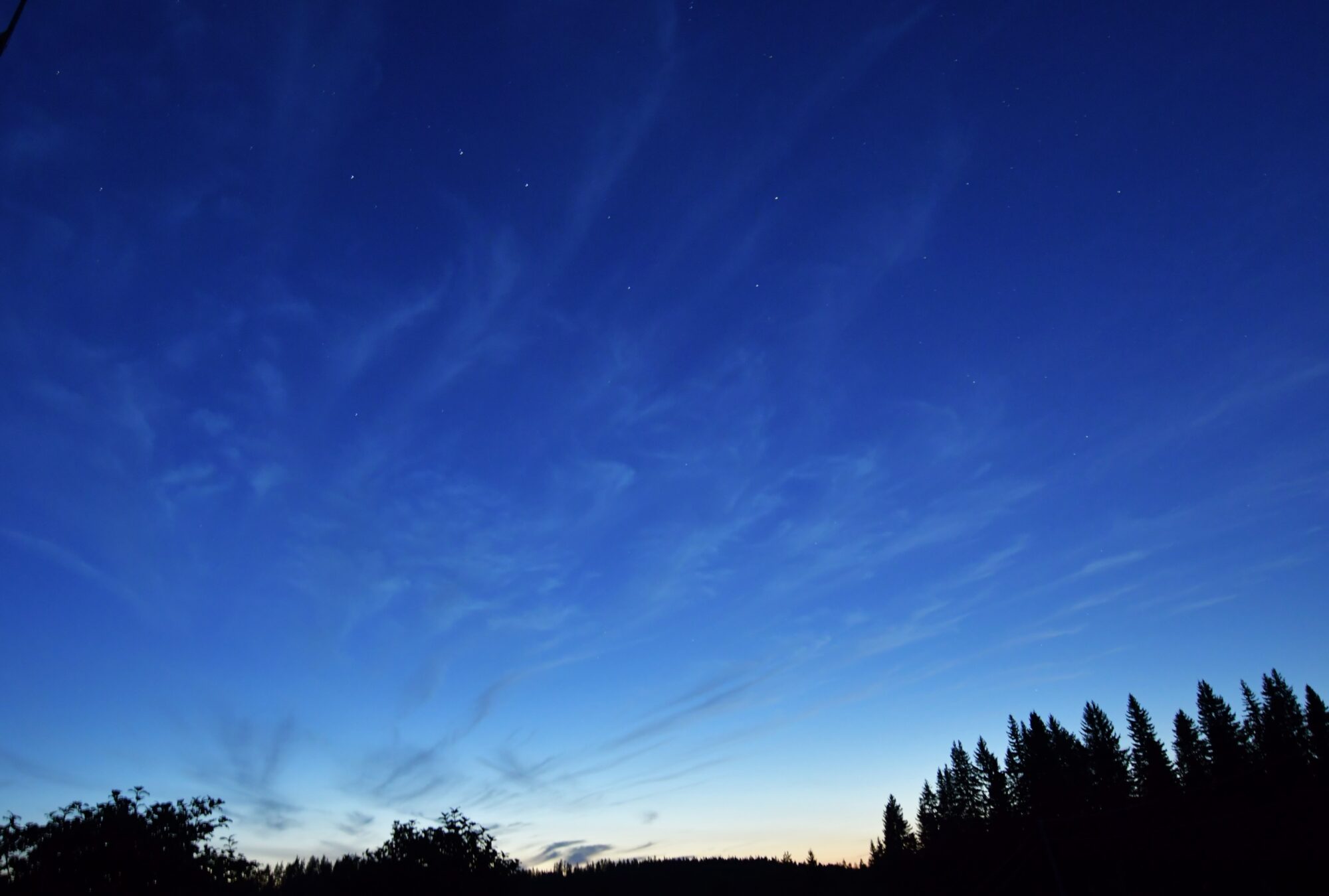 Valokuvaaja: Ritva Pietikäinen