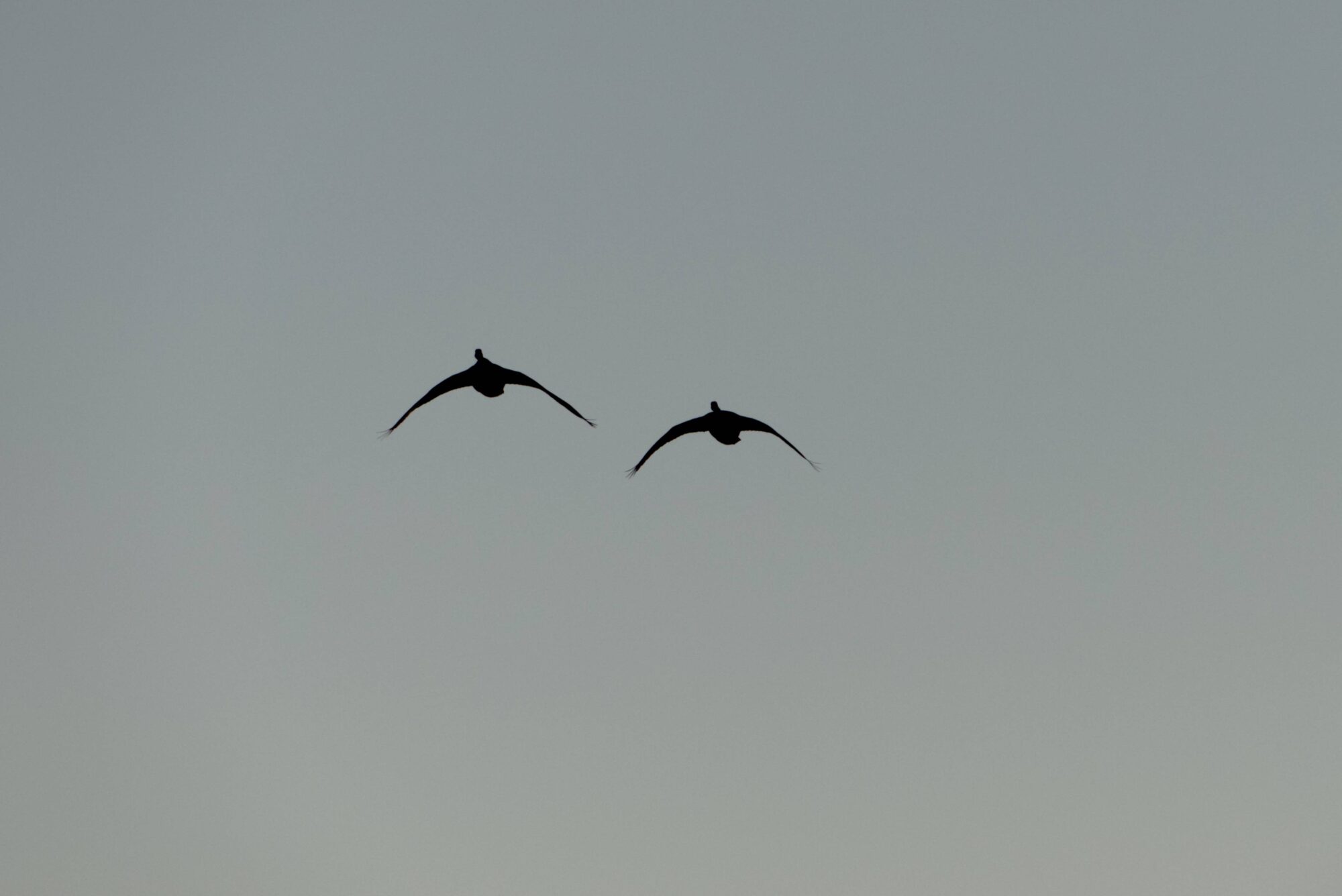 Valokuvaaja: Tapio Lahtinen