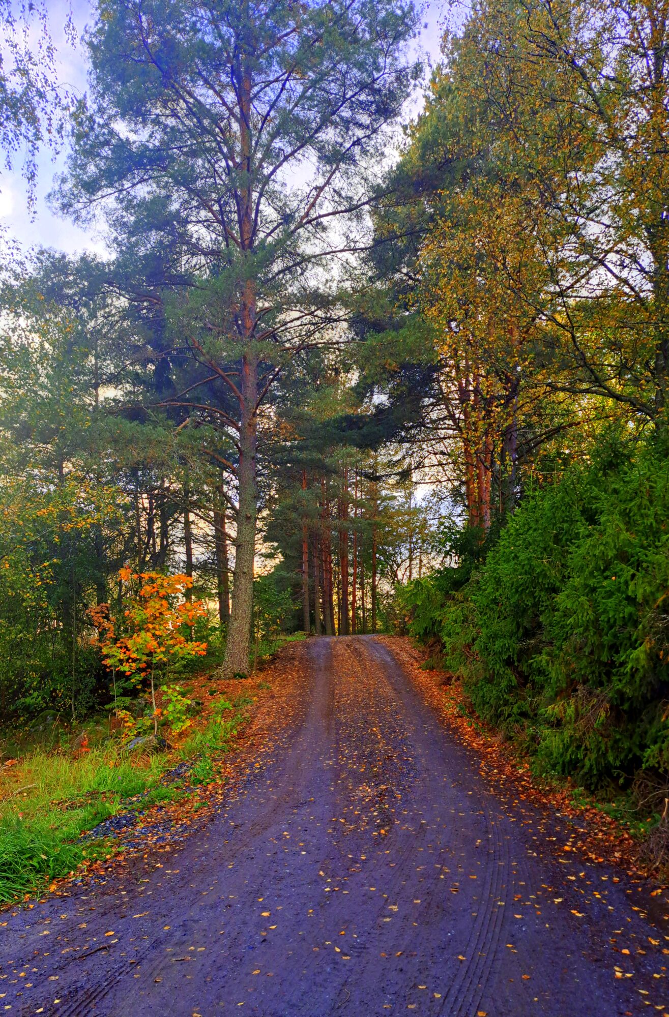 Valokuvaaja: Irja Lehtinen