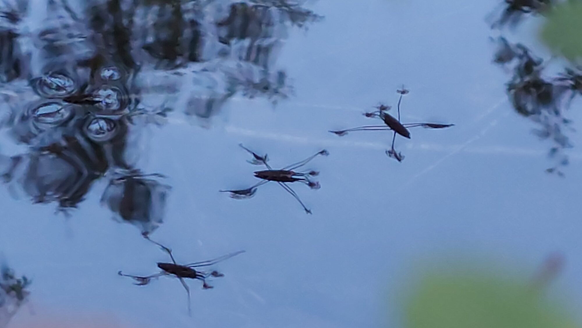 Valokuvaaja: Tarja Naukkarinen