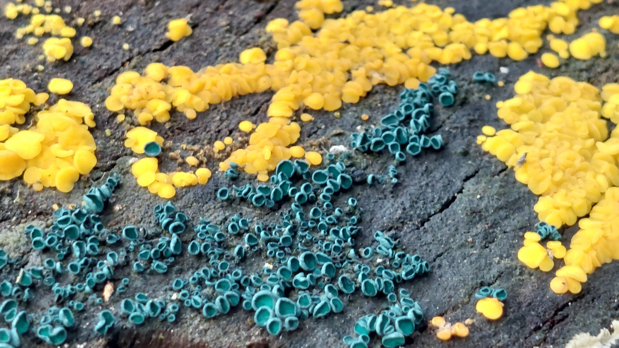 Valokuvaaja: Tarja Naukkarinen