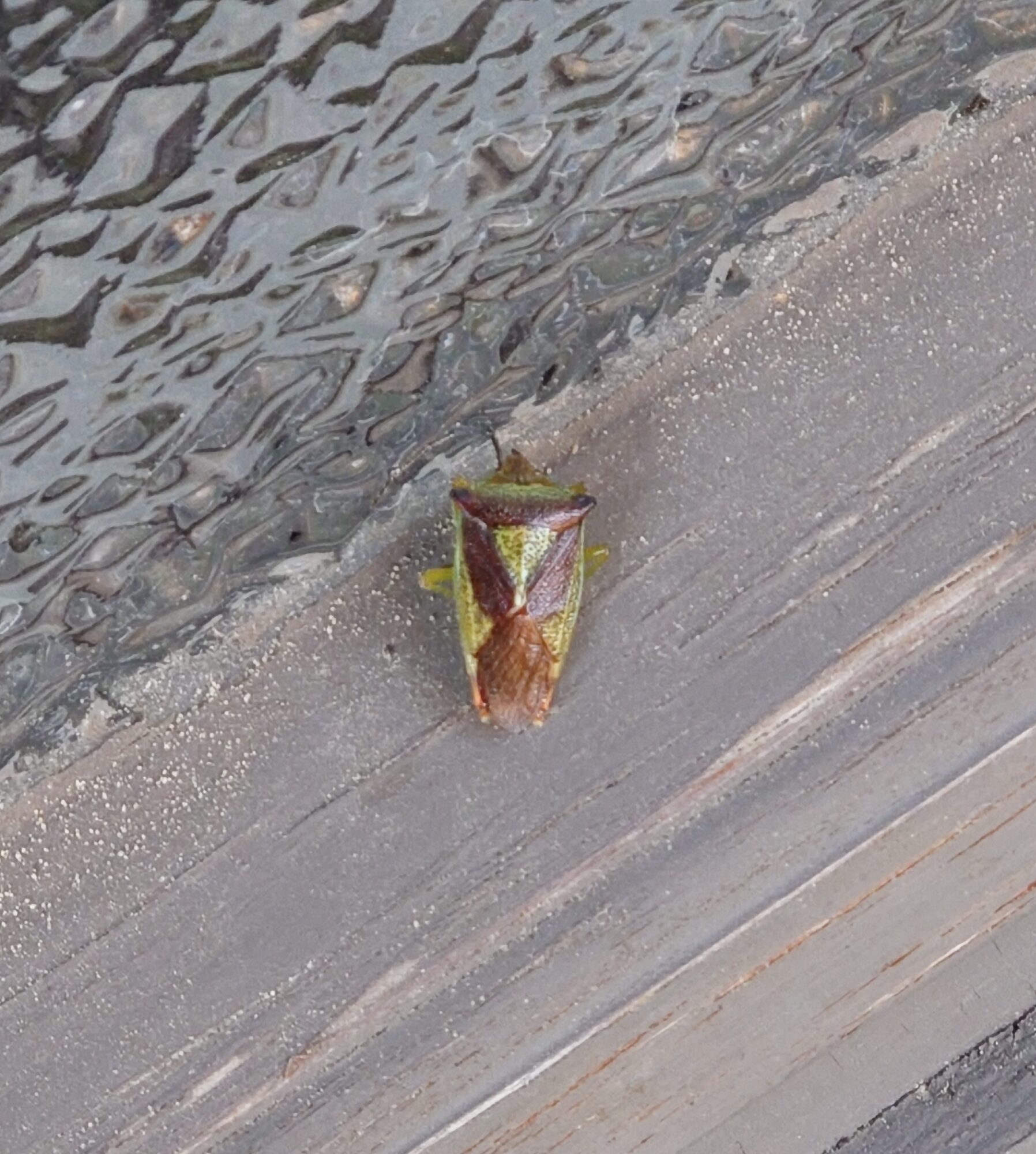 Valokuvaaja: Jouni Roppola