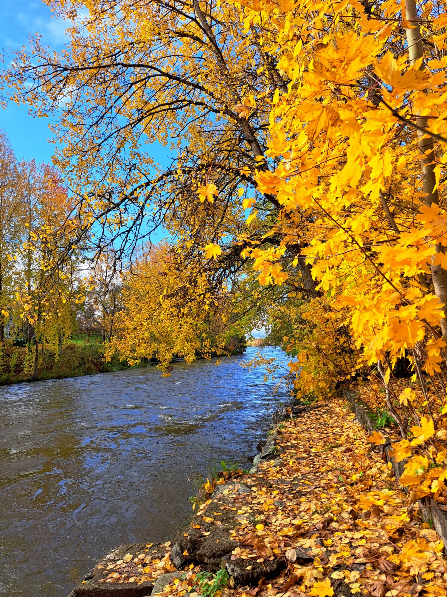 Valokuvaaja: Irja Lehtinen