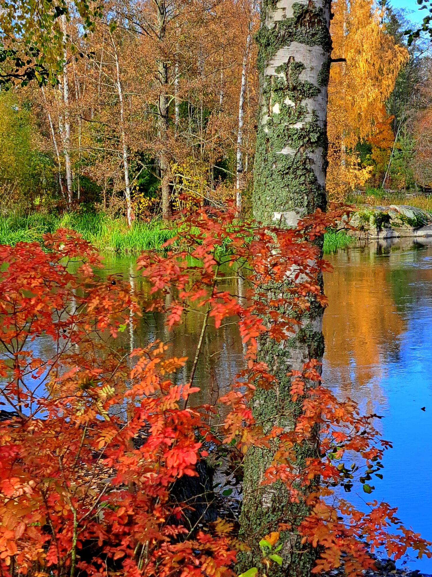 Valokuvaaja: Irja Lehtinen