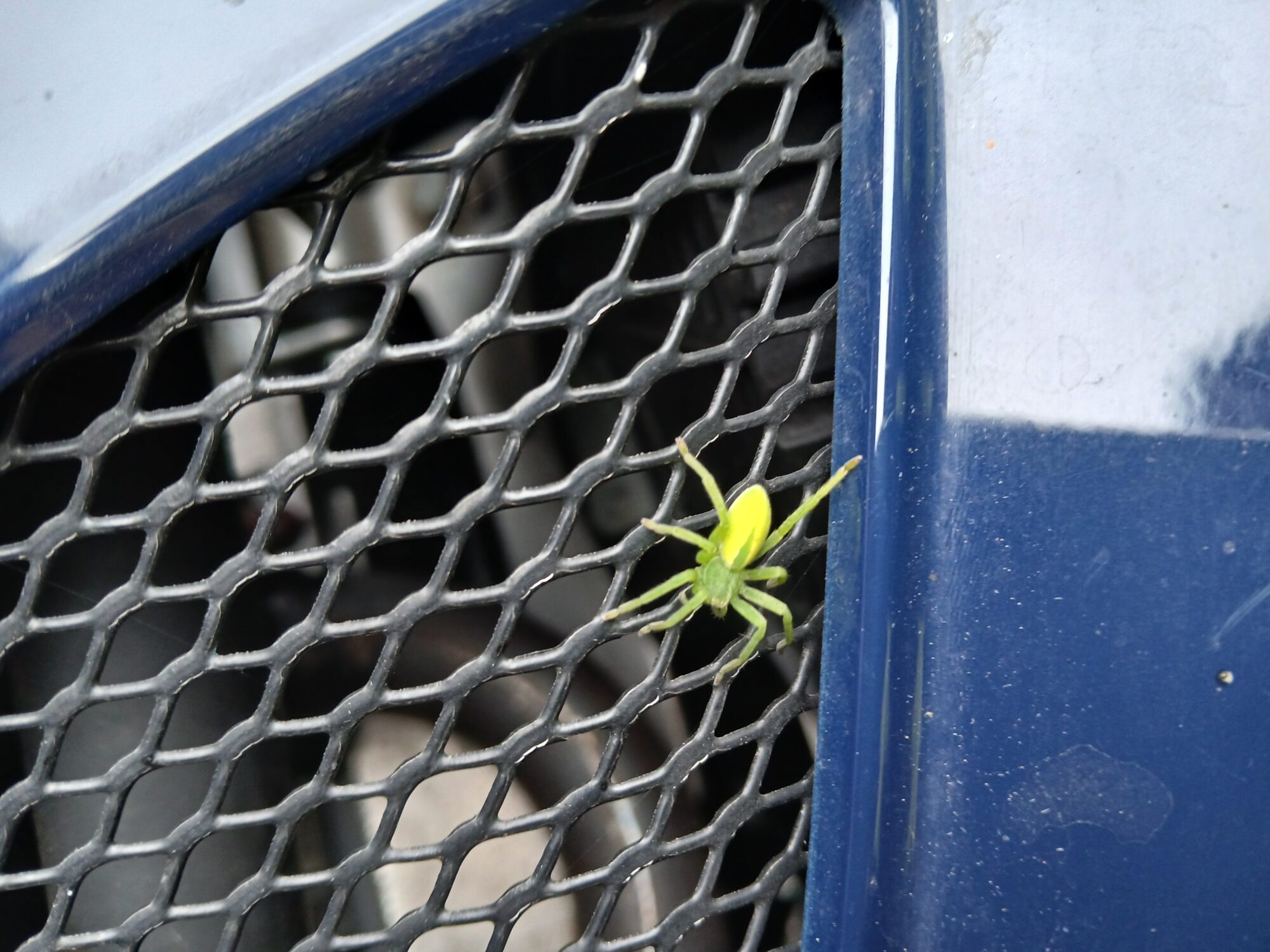 Valokuvaaja: Auli Feldt