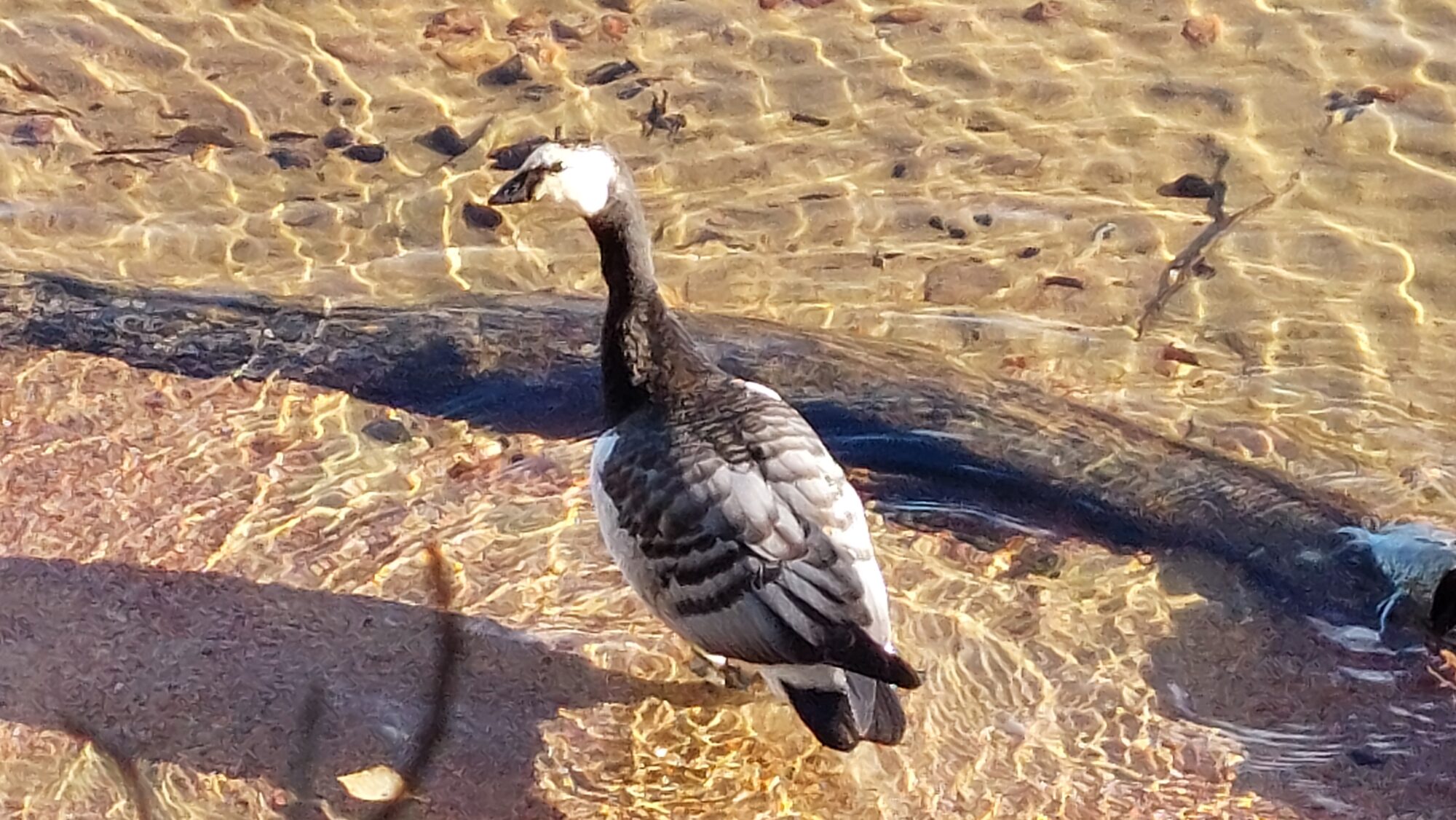 Valokuvaaja: Tarja Naukkarinen