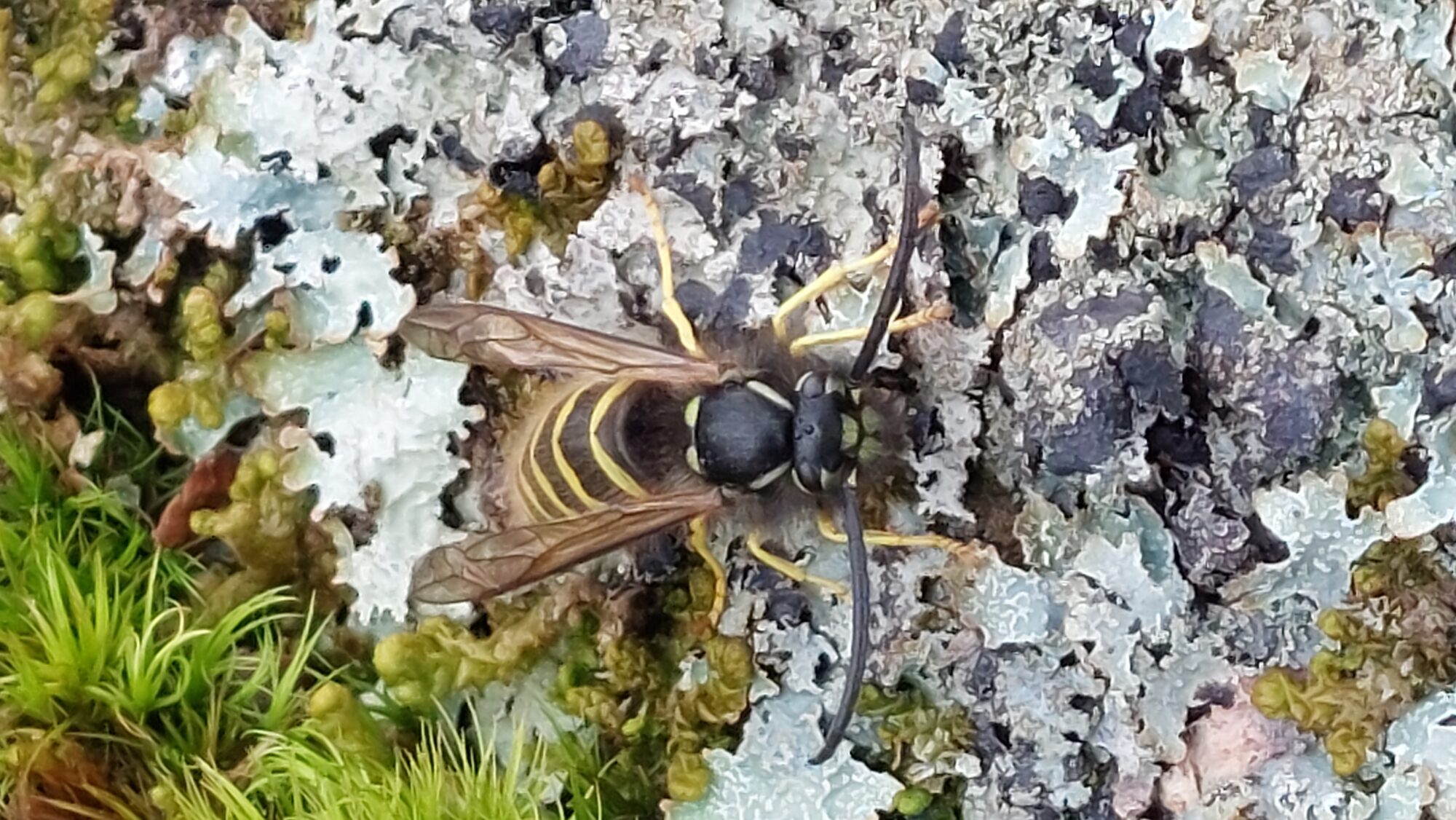 Valokuvaaja: Tarja Naukkarinen