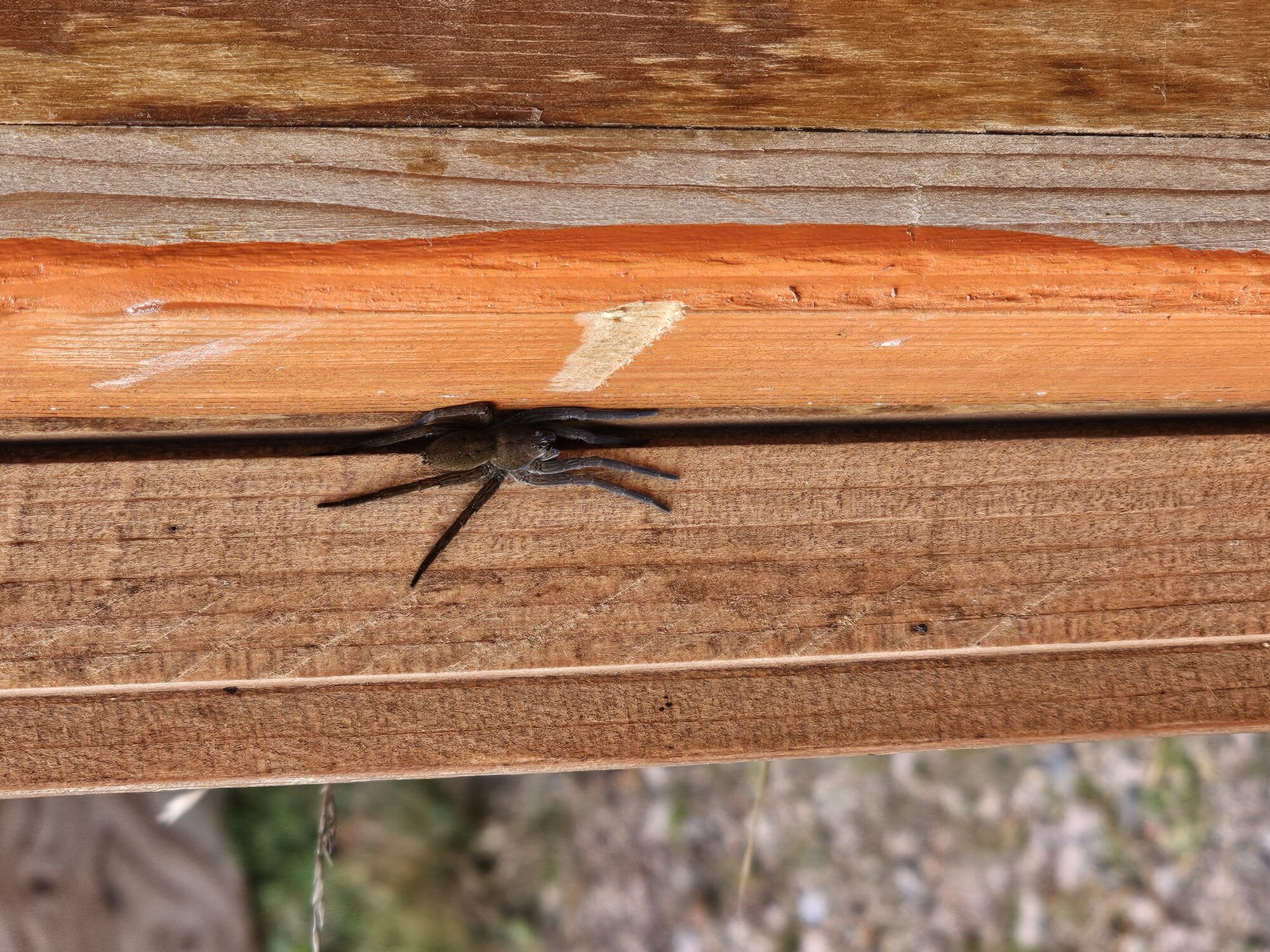 Valokuvaaja: Inka Manninen