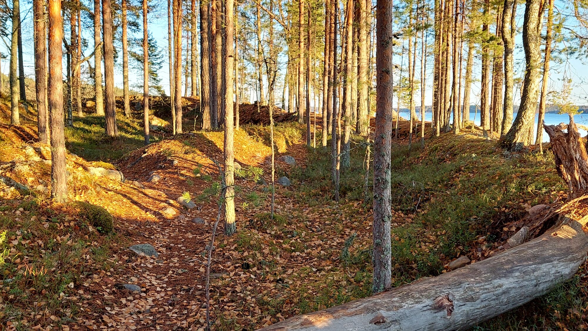 Valokuvaaja: Tarja Naukkarinen