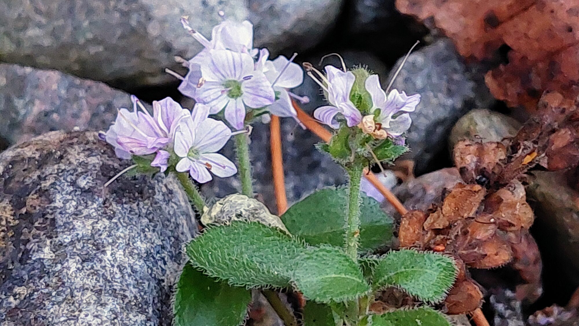 Valokuvaaja: Tarja Naukkarinen