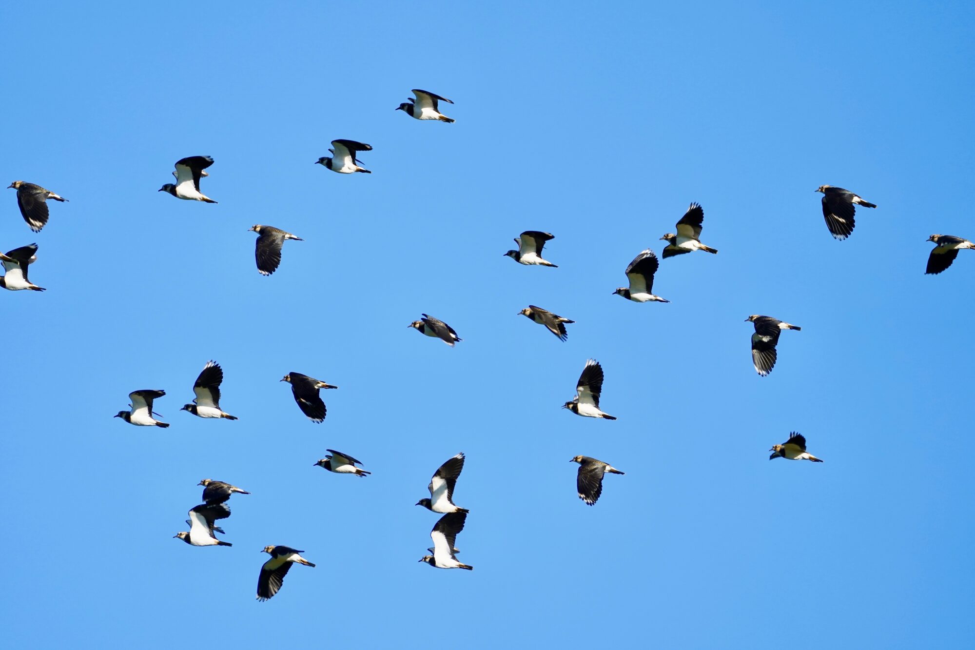 Valokuvaaja: Markku Ranta-Eilola